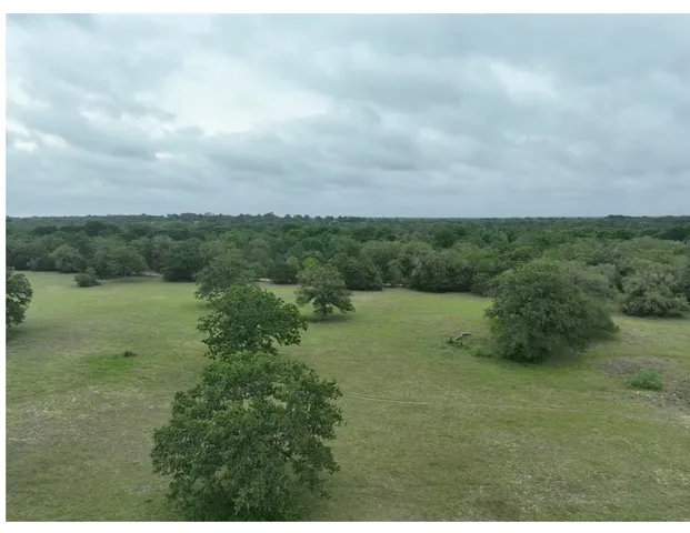 a view of a field of grass and trees