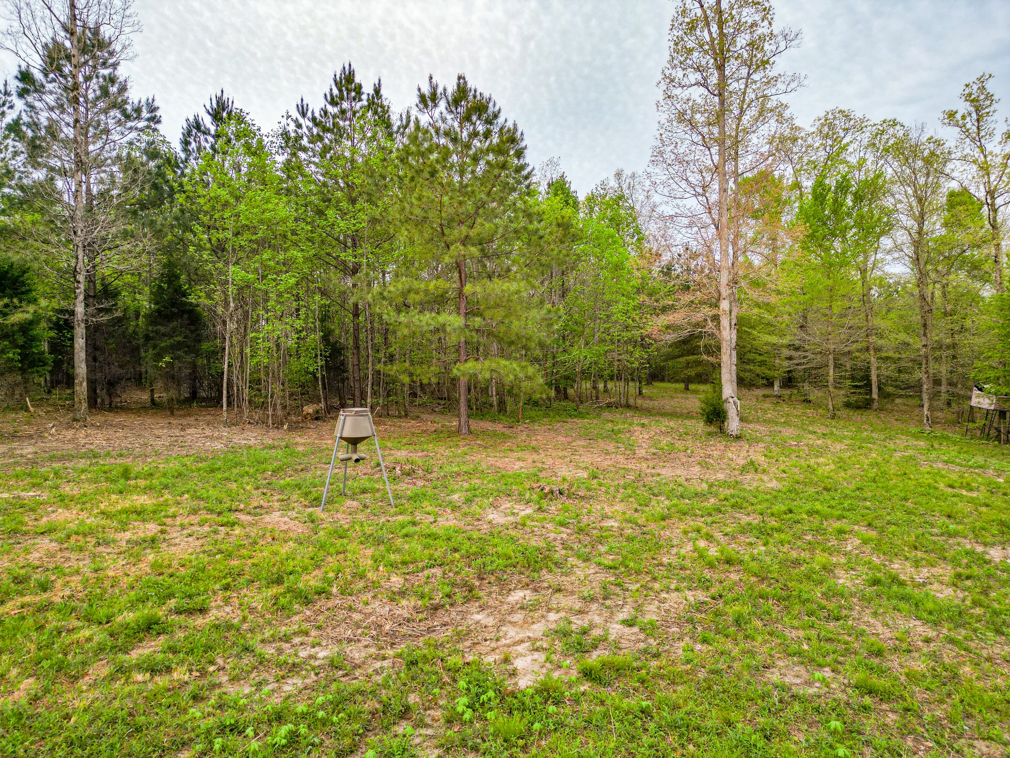 920 Mason Bates Bend Road Centerville, TN 37033 - Photo 57 of 82 Gallery Image 57
