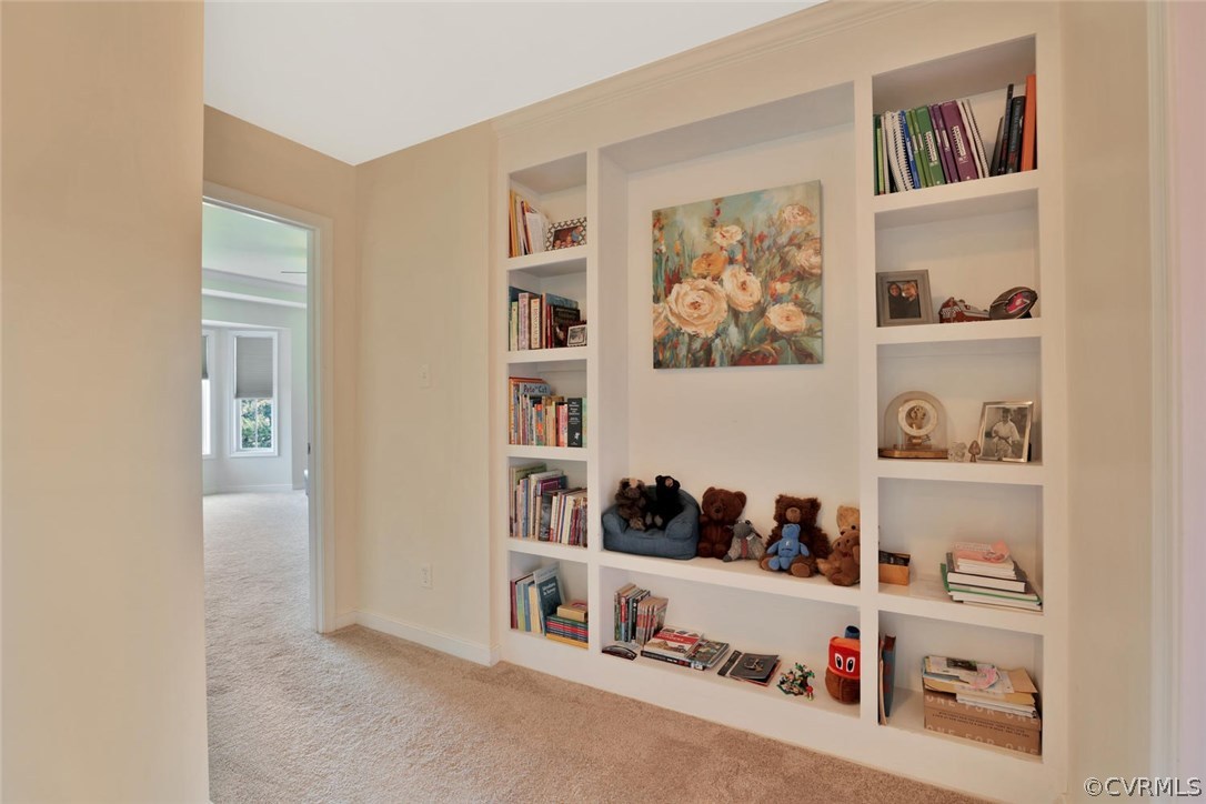 8910 Beaver Bridge Road Moseley, VA 23120 - Photo 19 of 44 a room with a book shelf and a book shelf