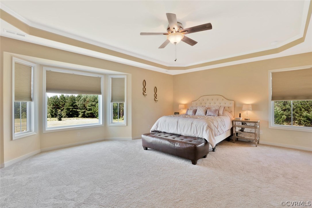 8910 Beaver Bridge Road Moseley, VA 23120 - Photo 22 of 44 a spacious bedroom with a bed a window and a chandelier