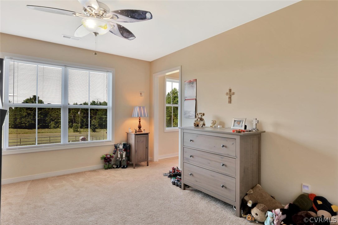 8910 Beaver Bridge Road Moseley, VA 23120 - Photo 30 of 44 a view of a bedroom with furniture and windows