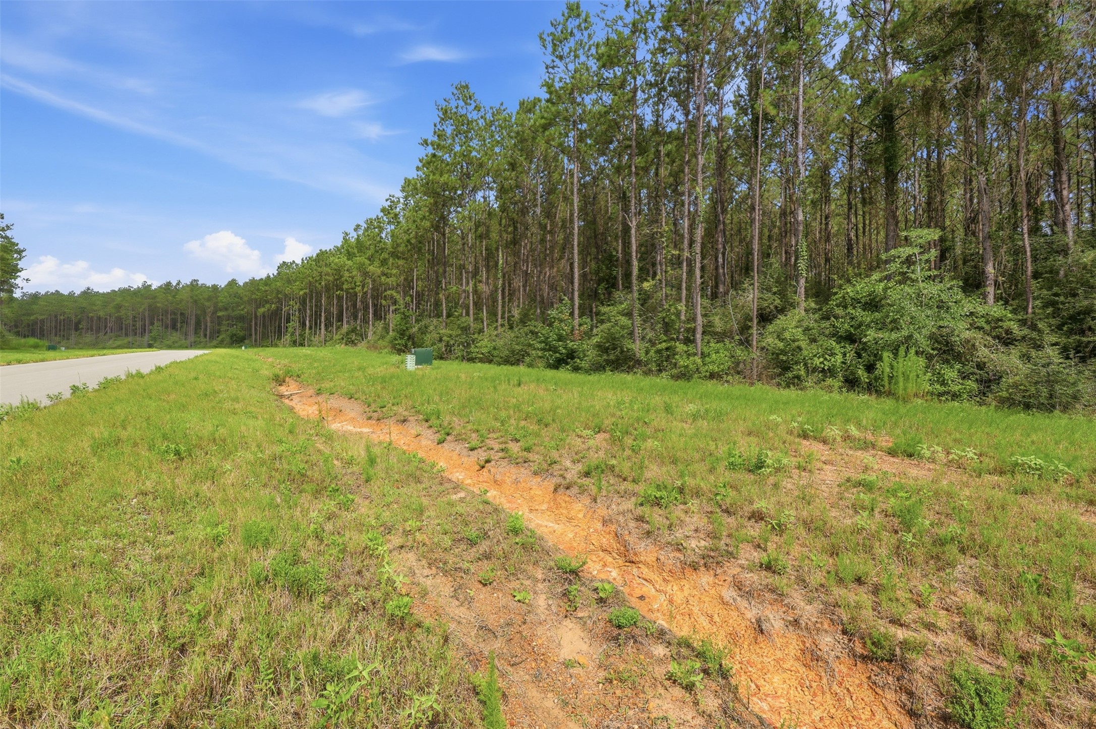 16030 Forest Mill Road Willis, TX 77378 - Photo 3 of 17 Spacious lot offering privacy and endless possibilities for your custom dream home.