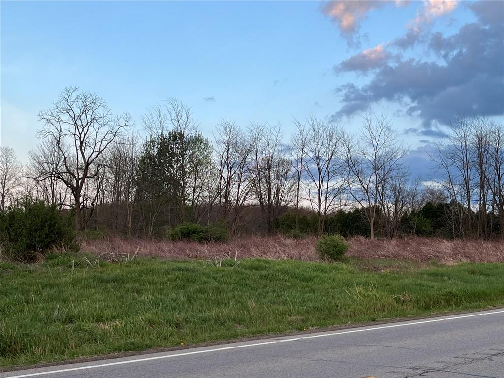 1748 Mercer Road Fredonia, PA 16124 - Photo 3 of 4 a view of outdoor space