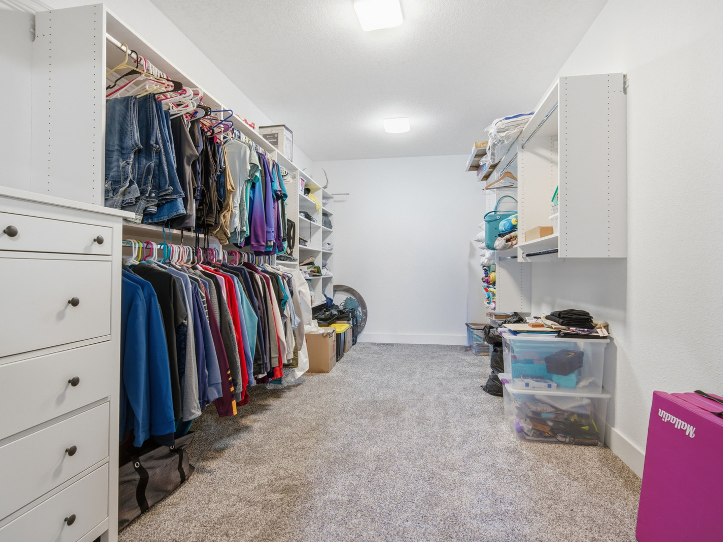 6487 Little Galilee Road Clinton, IL 61727 - Photo 48 of 59