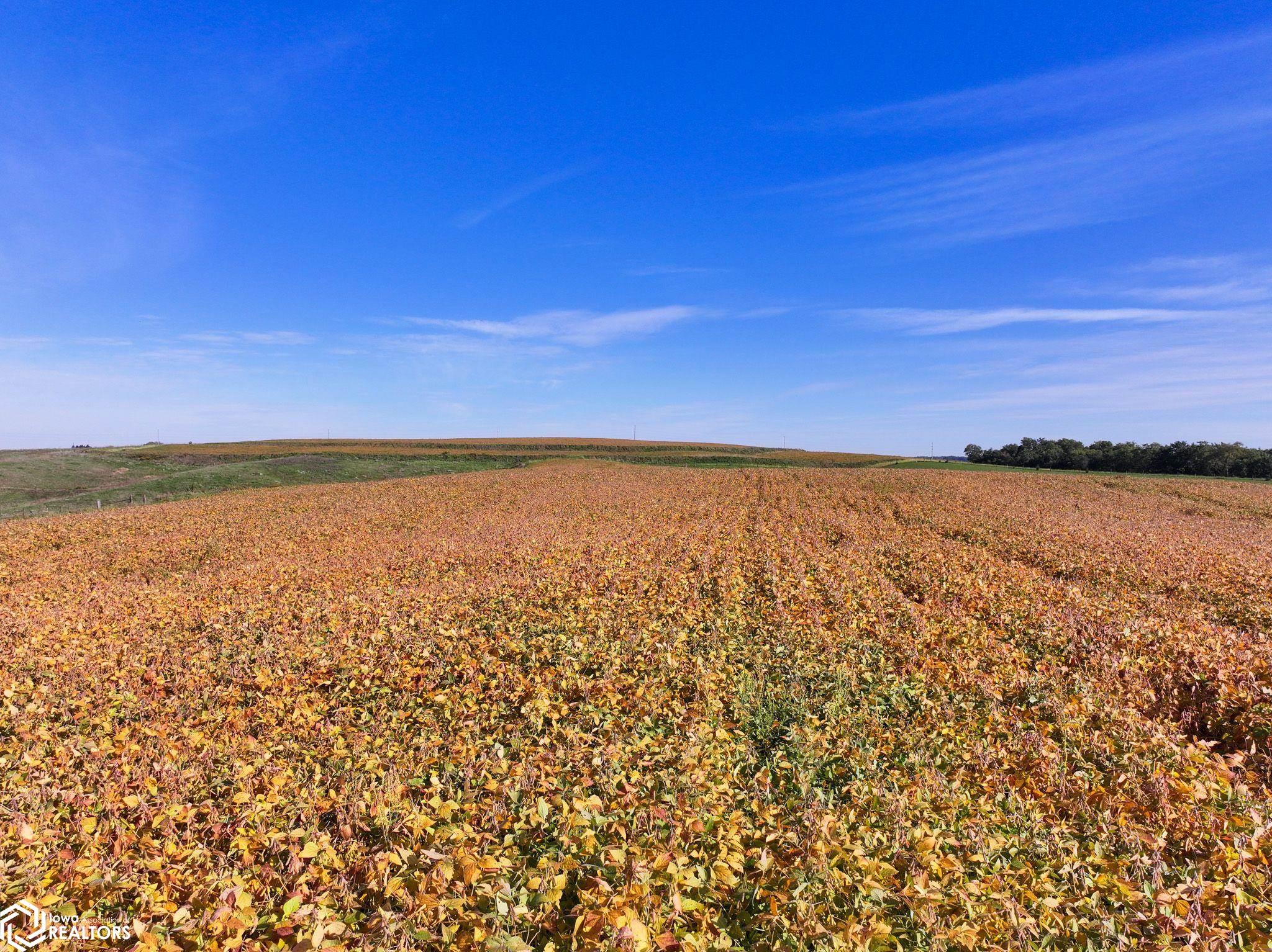 Garryowen Road Cascade, IA 52033 - Photo 15 of 41 Gallery Image 15