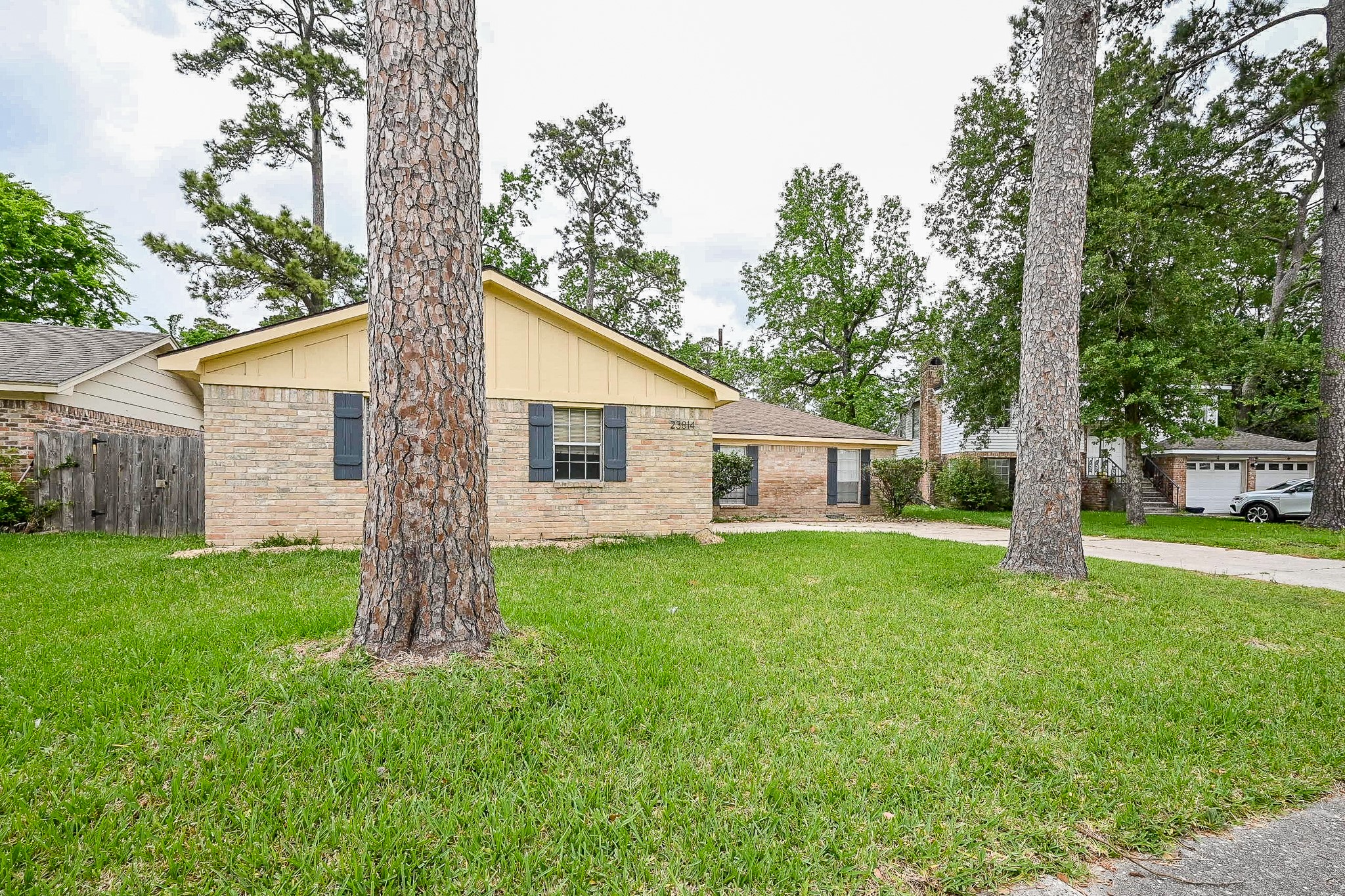 23814 Spring Gum Drive Spring, TX 77373 - Photo 2 of 21 a view of a yard in front of a house with large tree
