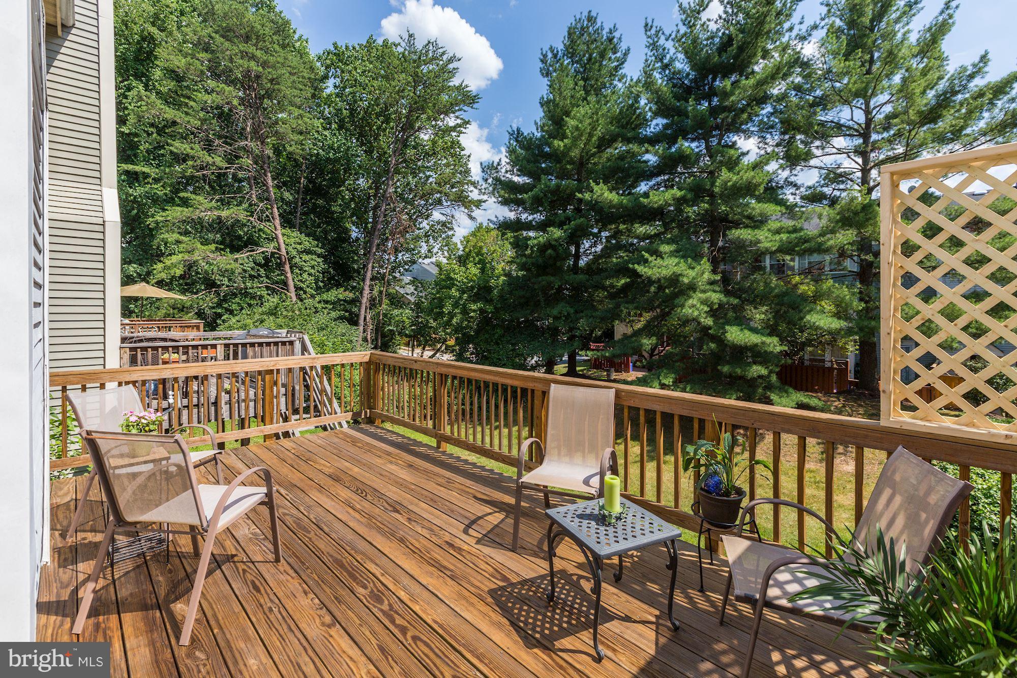 641 Concerto Lane Silver Spring, MD 20901 - Photo 28 of 30 View backs to treet
