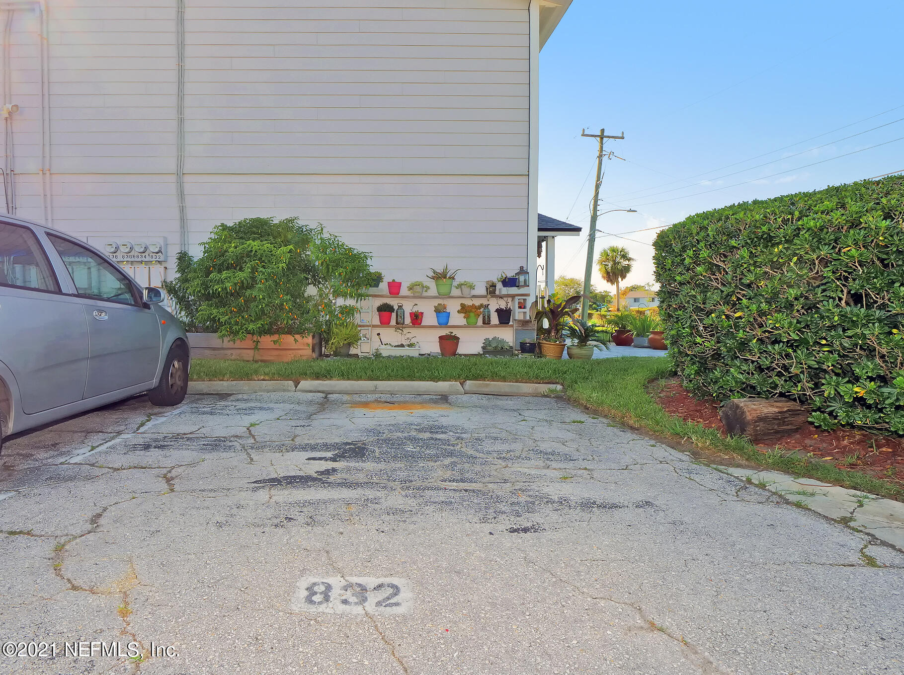 832 Cavalla Road Atlantic Beach, FL 32233 - Photo 21 of 34 a view of a garden with plants