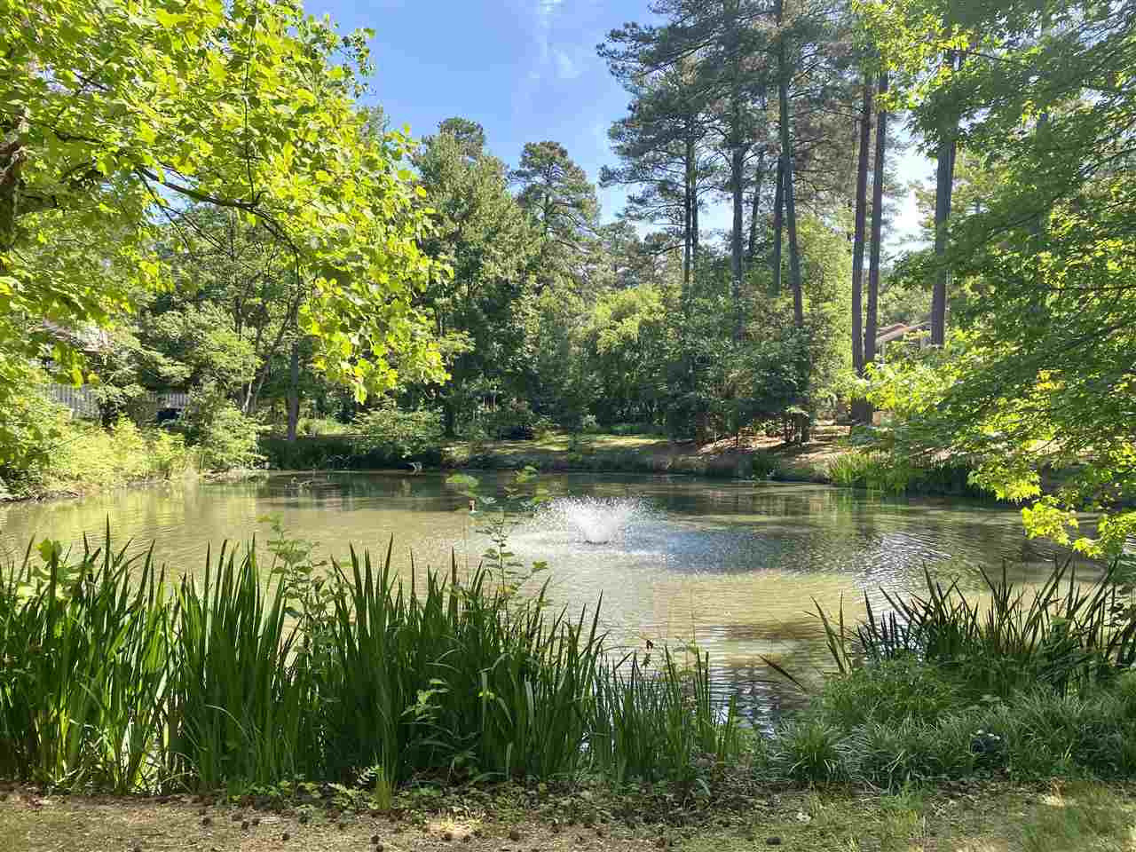 5823 Mapleridge Road Raleigh, NC 27609 - Photo 22 of 24 Neighborhood Pond