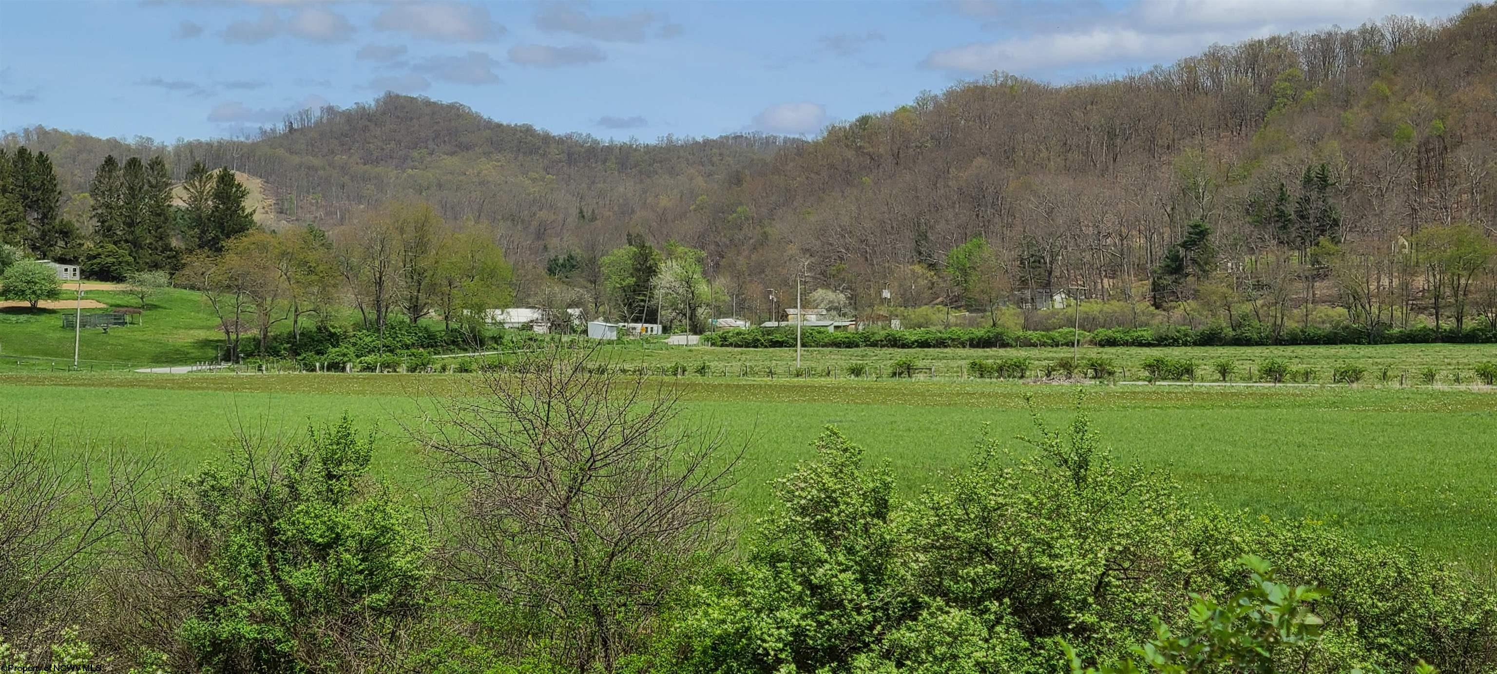 482 Wilmoth Rd Israel Church Montrose, WV 26283 - Photo 9 of 21 Gallery Image 9