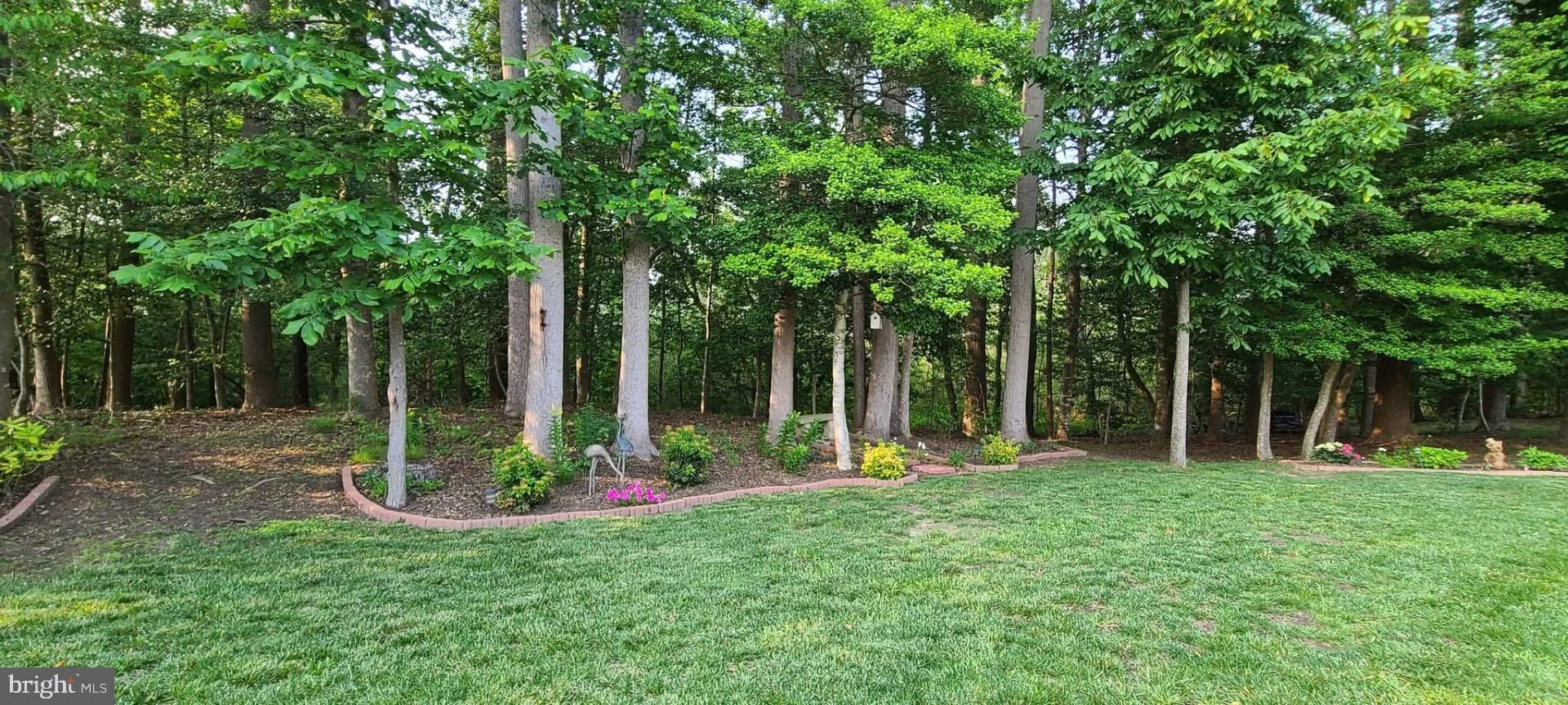 21555 Waterview Road Lewes, DE 19958 - Photo 6 of 63 Gallery Image 6