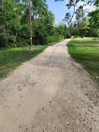 a view of a yard with plants