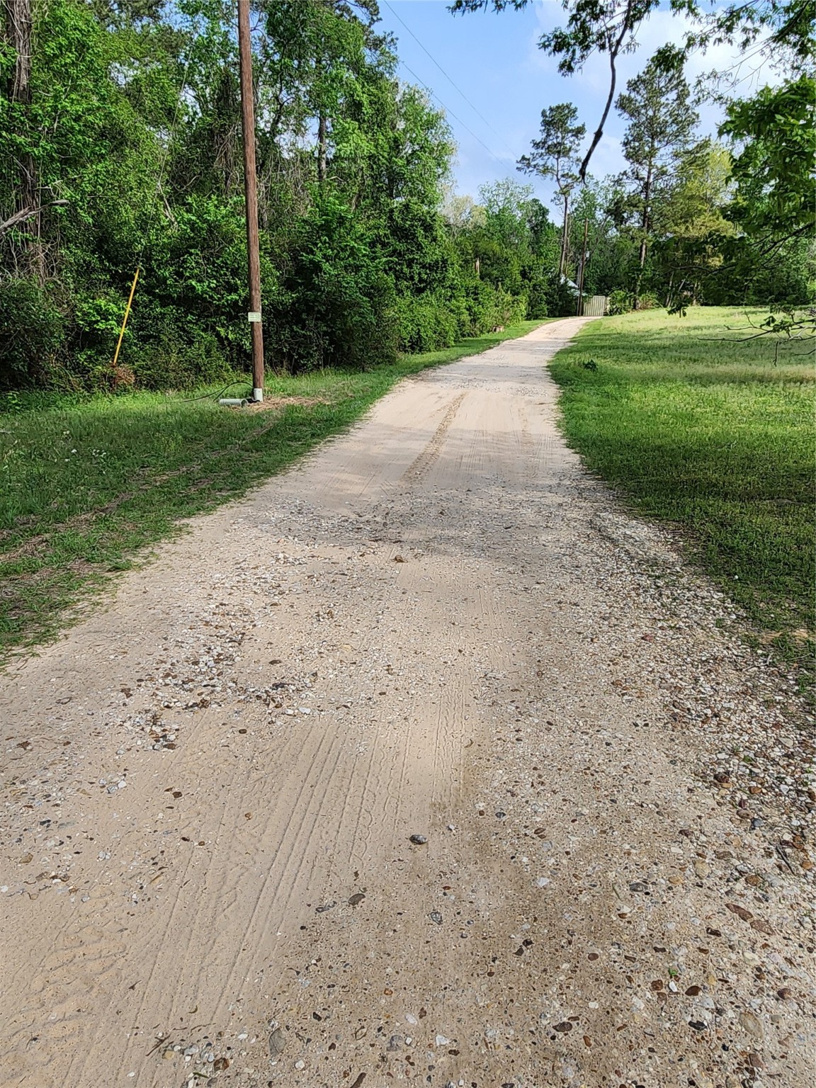 Tbd Ward Road Splendora, TX 77372 - Photo 13 of 15 a view of a yard with plants