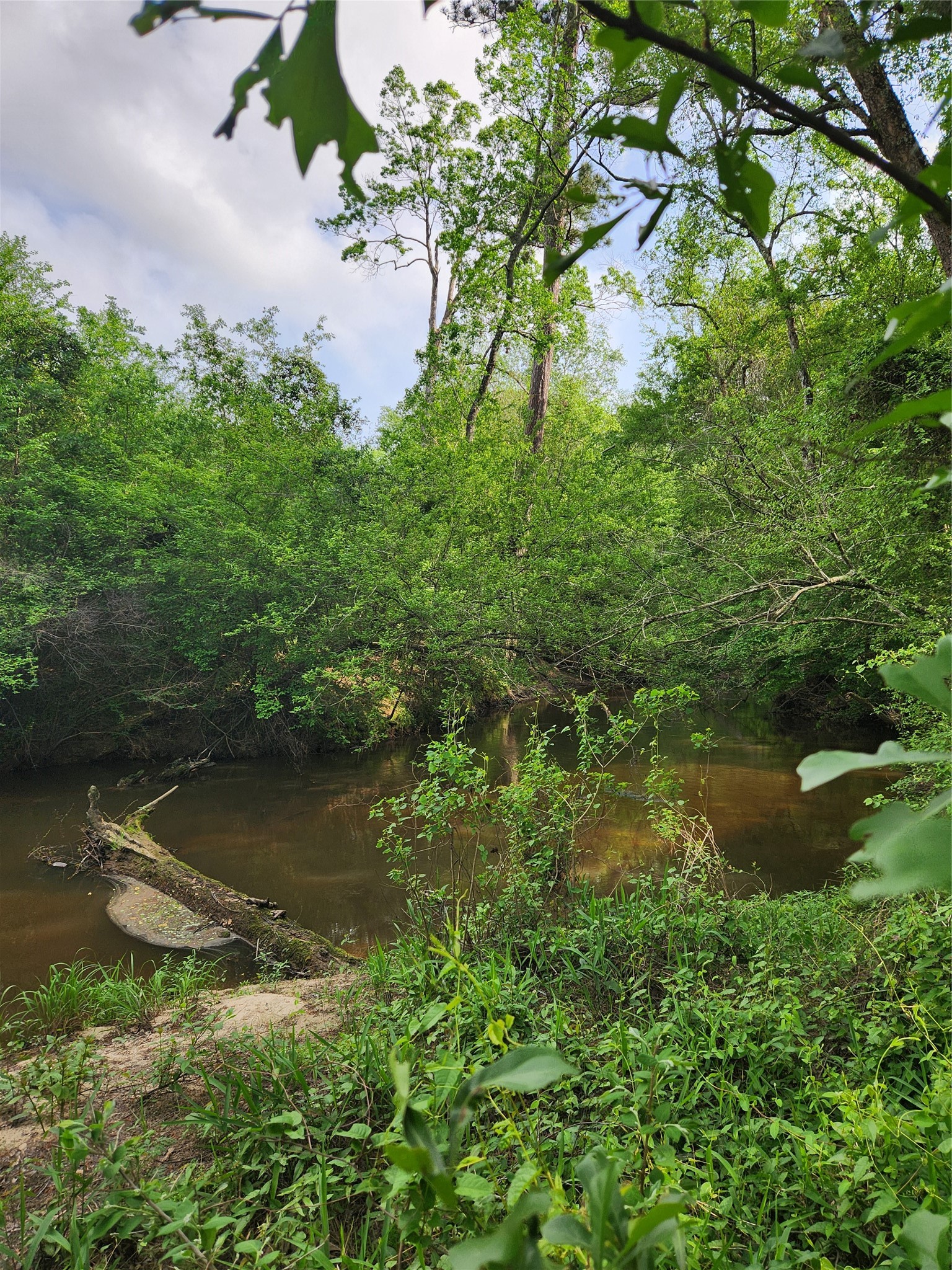 Tbd Ward Road Splendora, TX 77372 - Photo 7 of 15 a view of a lake