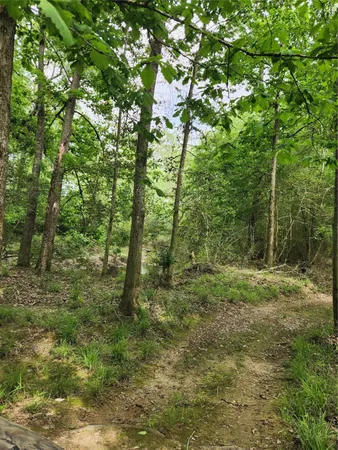a view of outdoor space and green space