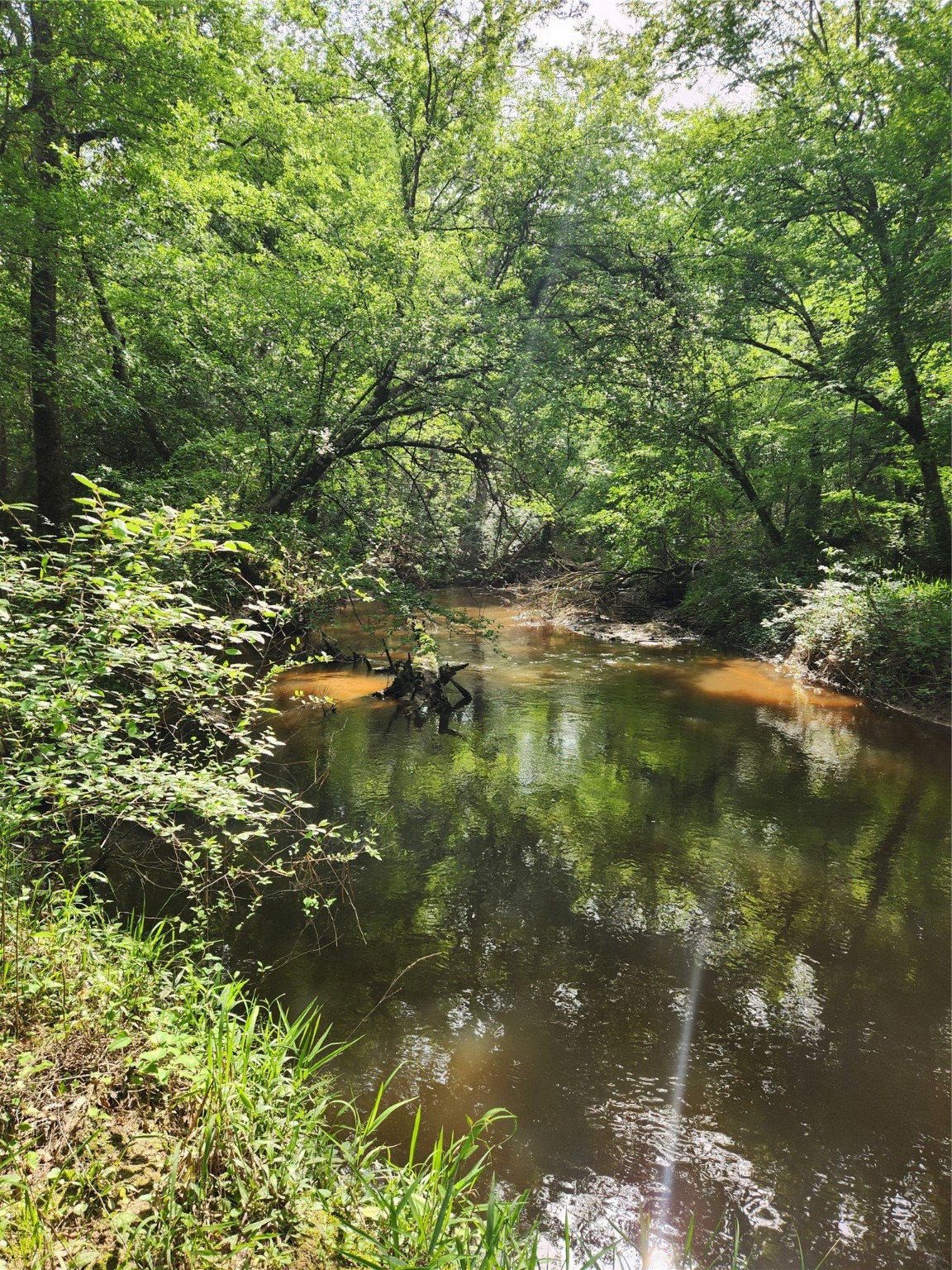 Tbd Ward Road Splendora, TX 77372 - Photo 10 of 15 a view of a lake