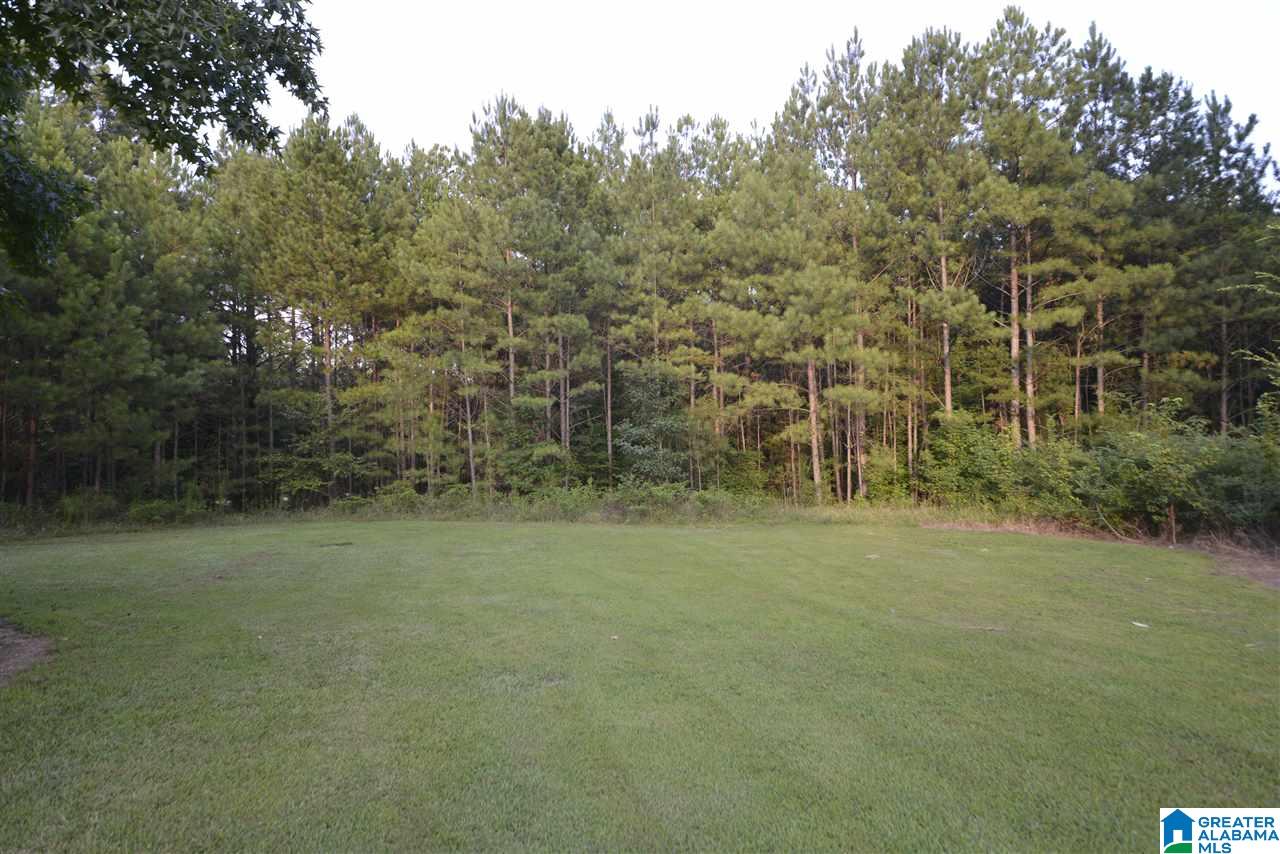 1980 Roy Webb Cutoff Road Piedmont, AL 36272 - Photo 41 of 47