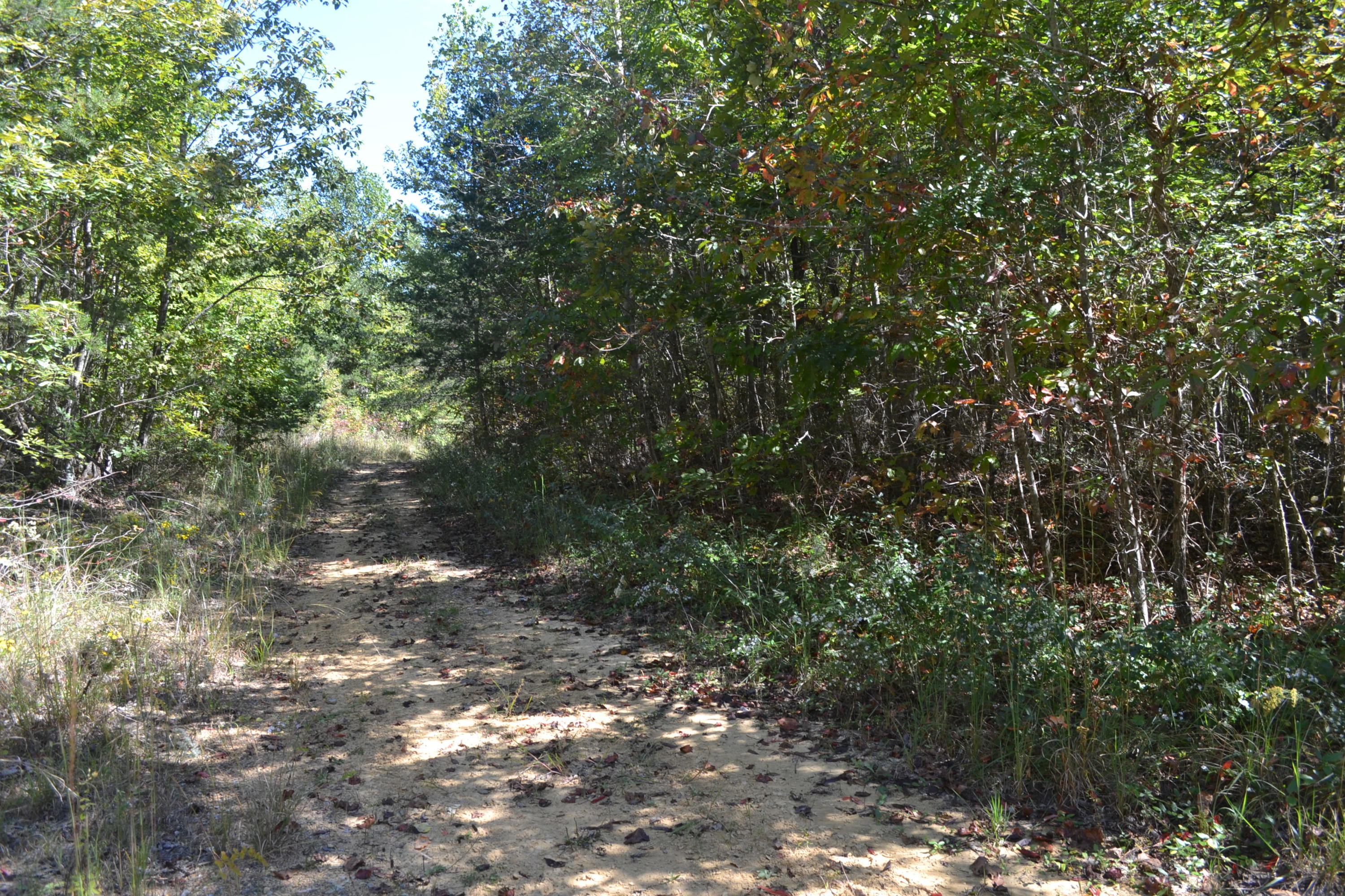 26.14-ac C Road Whitwell, TN 37397 - Photo 9 of 9 23
