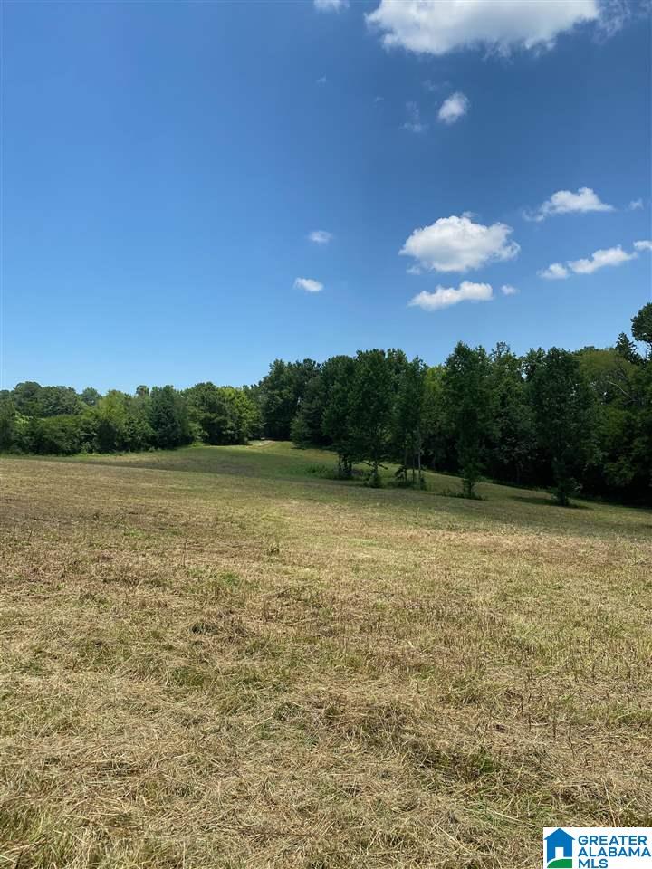 0 Runway Drive, Unit 1 Hayden, AL 35079 - Photo 1 of 9