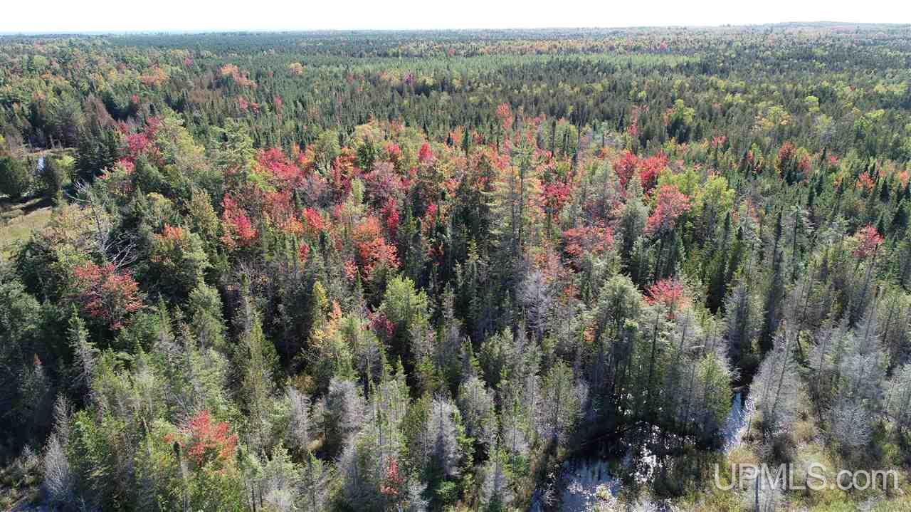 1480 Acres On Co Road Manistique, MI 49854 - Photo 40 of 49