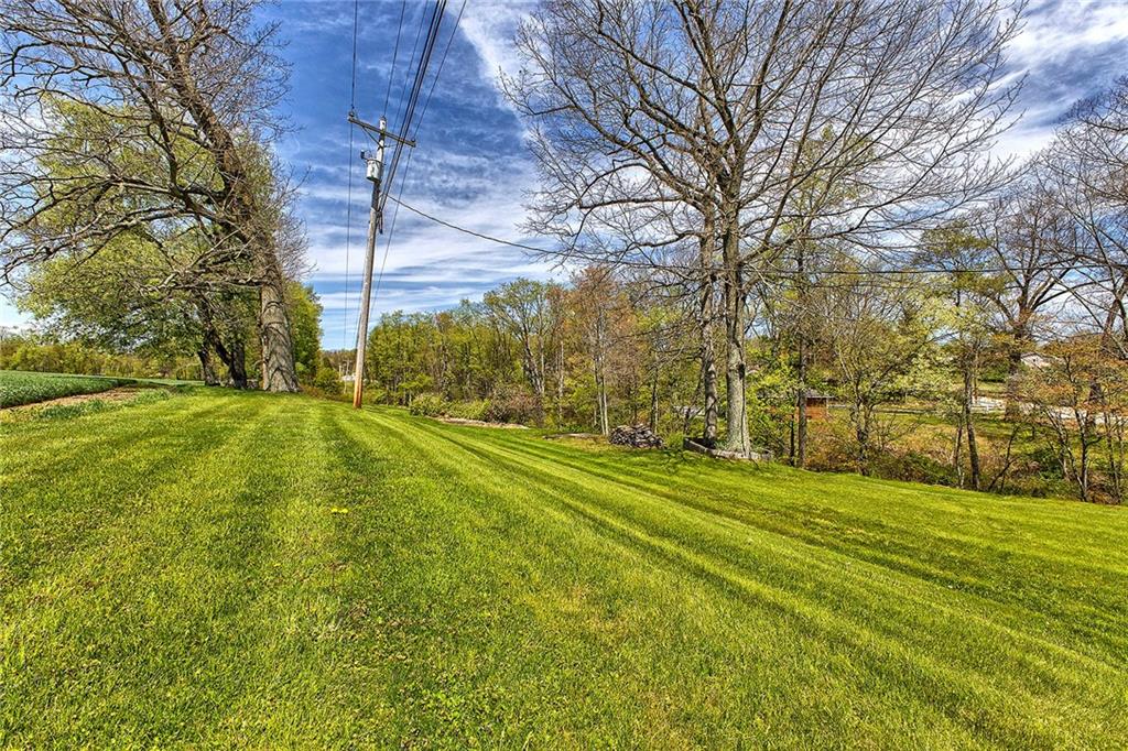 4462 Rte 286 Highway East Indiana, PA 15701 - Photo 40 of 46 a yard with trees in the background