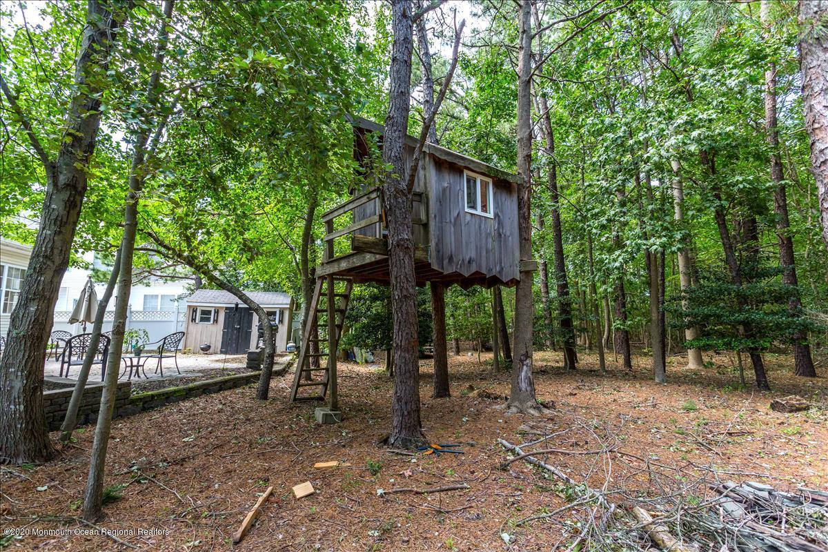 36 Mandalay Road Brick, NJ 08723 - Photo 37 of 41 treehouse