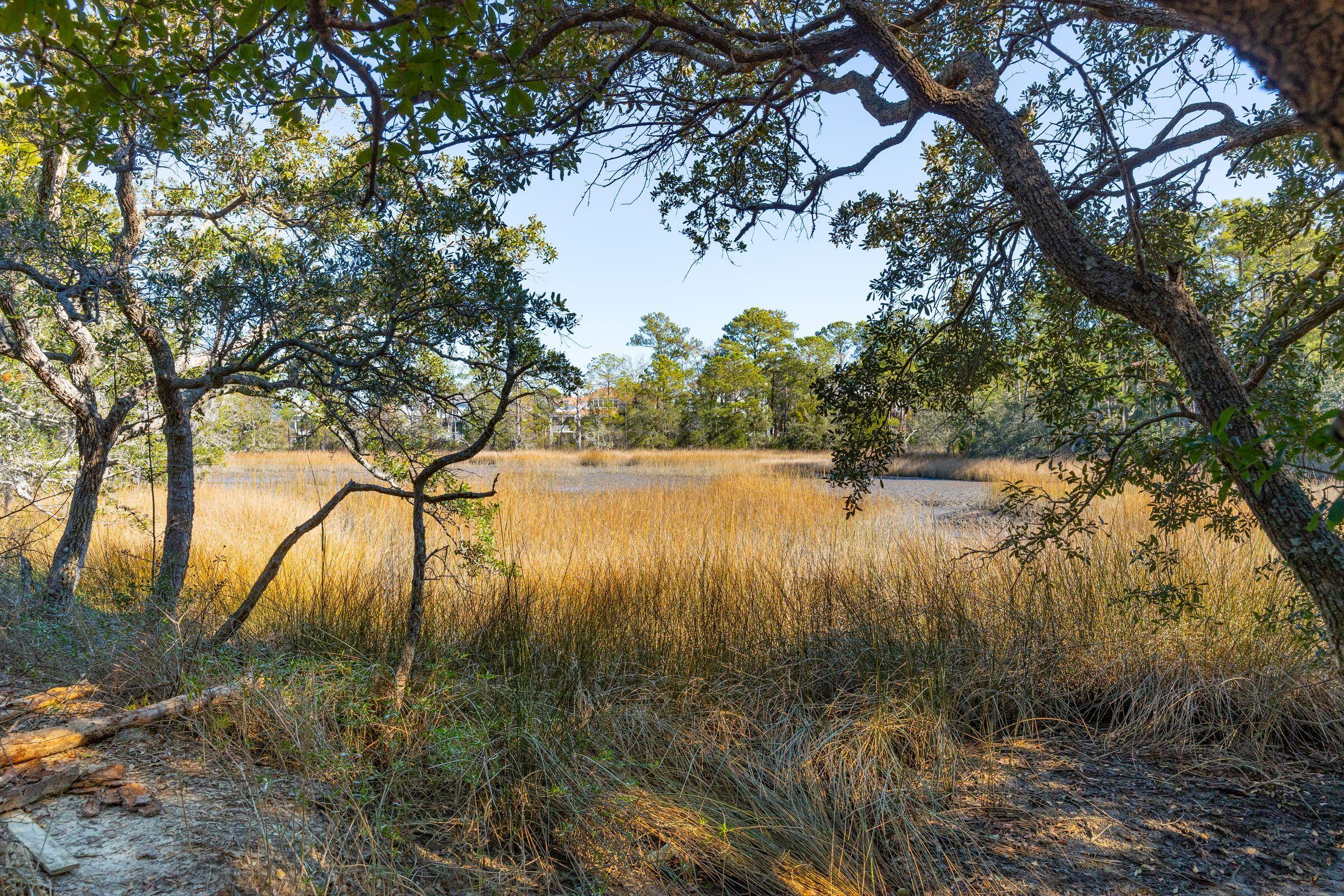 380 Tidal Reef Circle Mount Pleasant, SC 29464 - Photo 3 of 21 380 Tidal Reef Circle