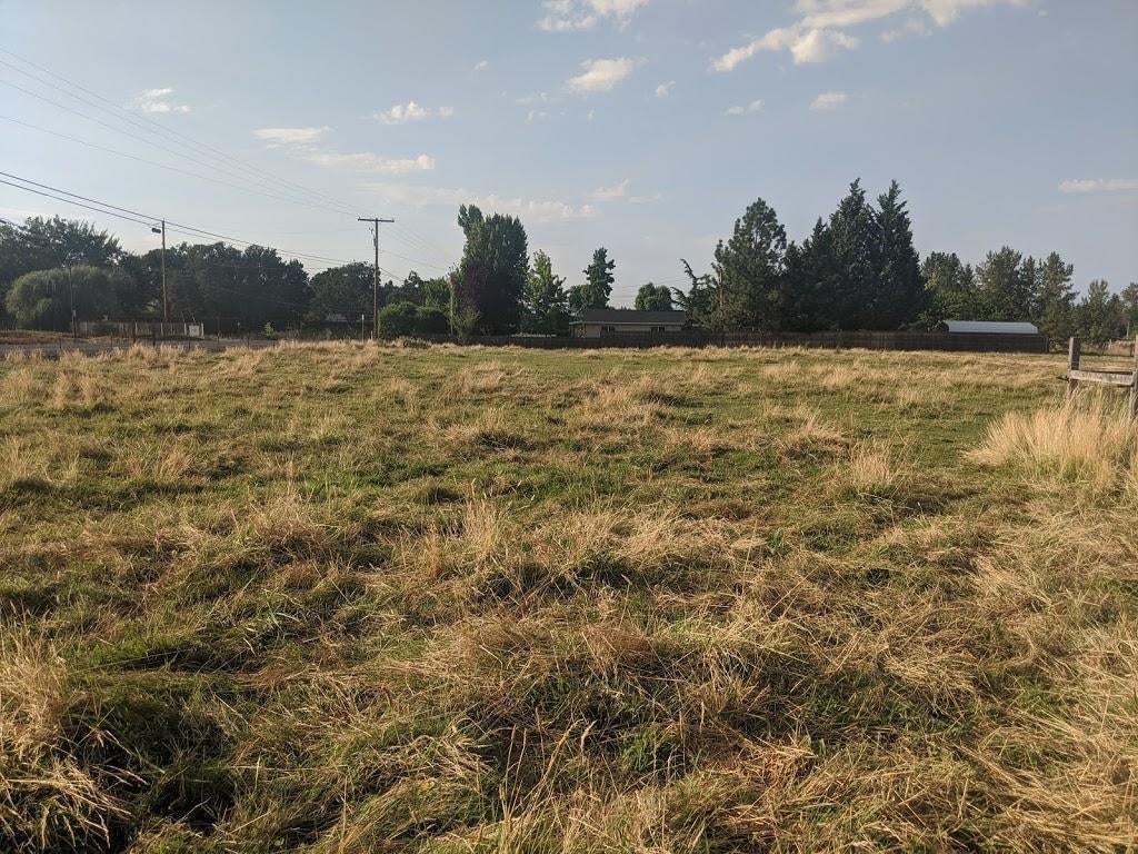 2980 Hanley Road Central Point, OR 97502 - Photo 17 of 19 Pasture