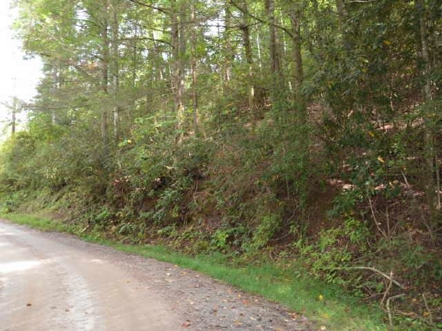 0 Brandon Mill Road Lakemont, GA 30552 - Photo 1 of 1 Gallery Image 1
