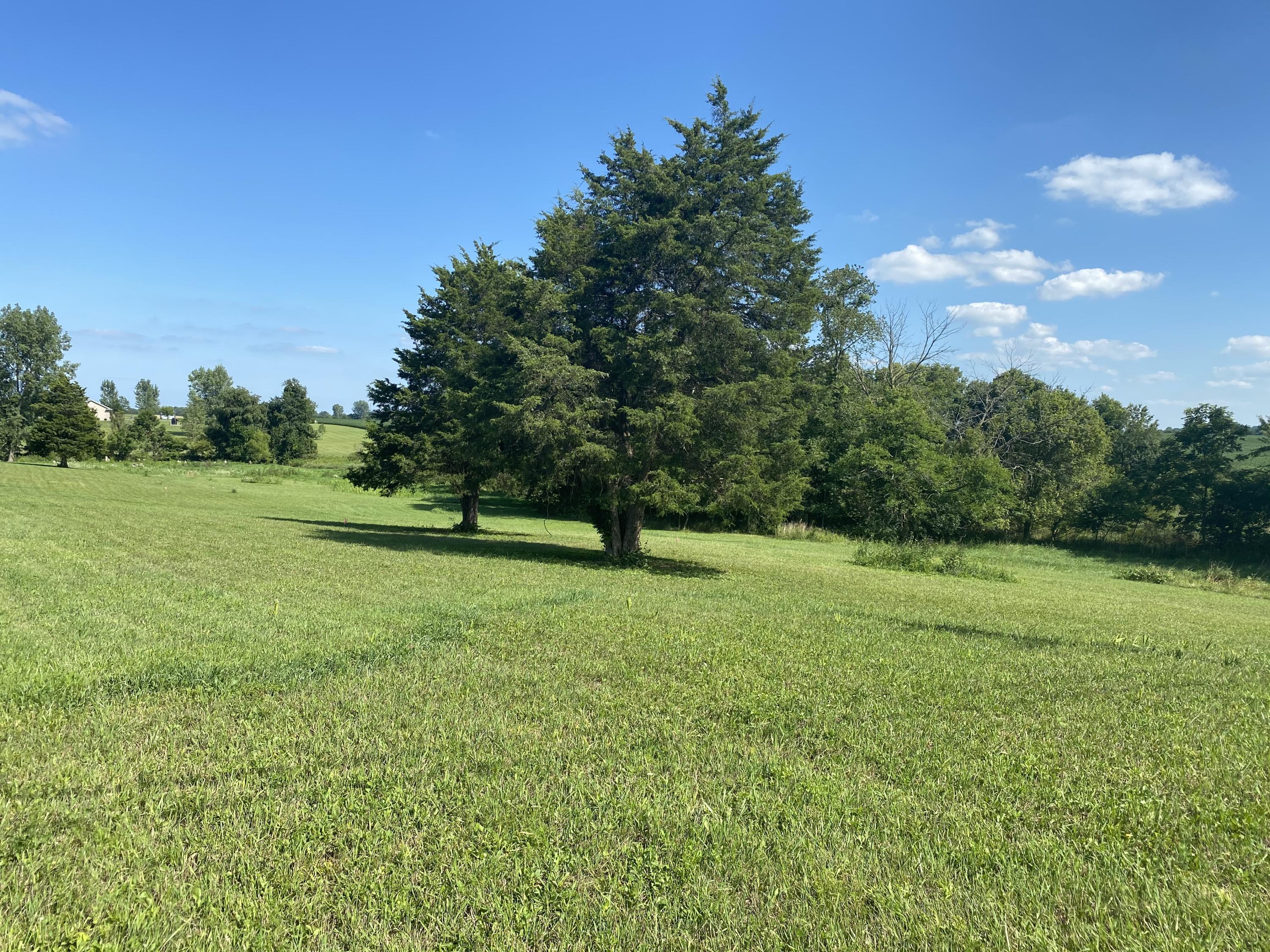 21044 Dingman-Slagle Road Pemberton, OH 45353 - Photo 3 of 13