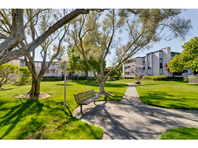 1111 Compass Lane, Unit 204 Foster City, CA 94404 - Photo 12 of 13 a view of yard with swimming pool and green space
