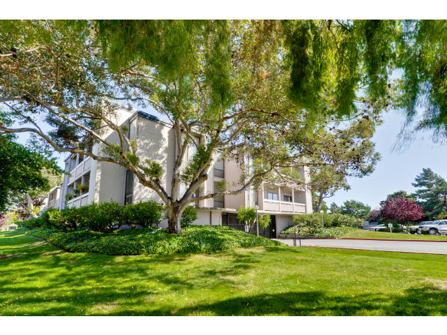 1111 Compass Lane, Unit 204 Foster City, CA 94404 - Photo 13 of 13 a view of a big yard with plants and large trees