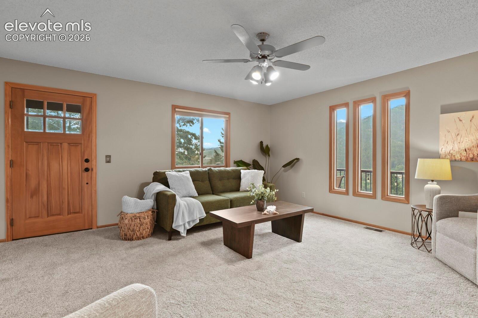 8825 Ute Road Cascade, CO 80809 - Photo 22 of 50 Gallery Image 22