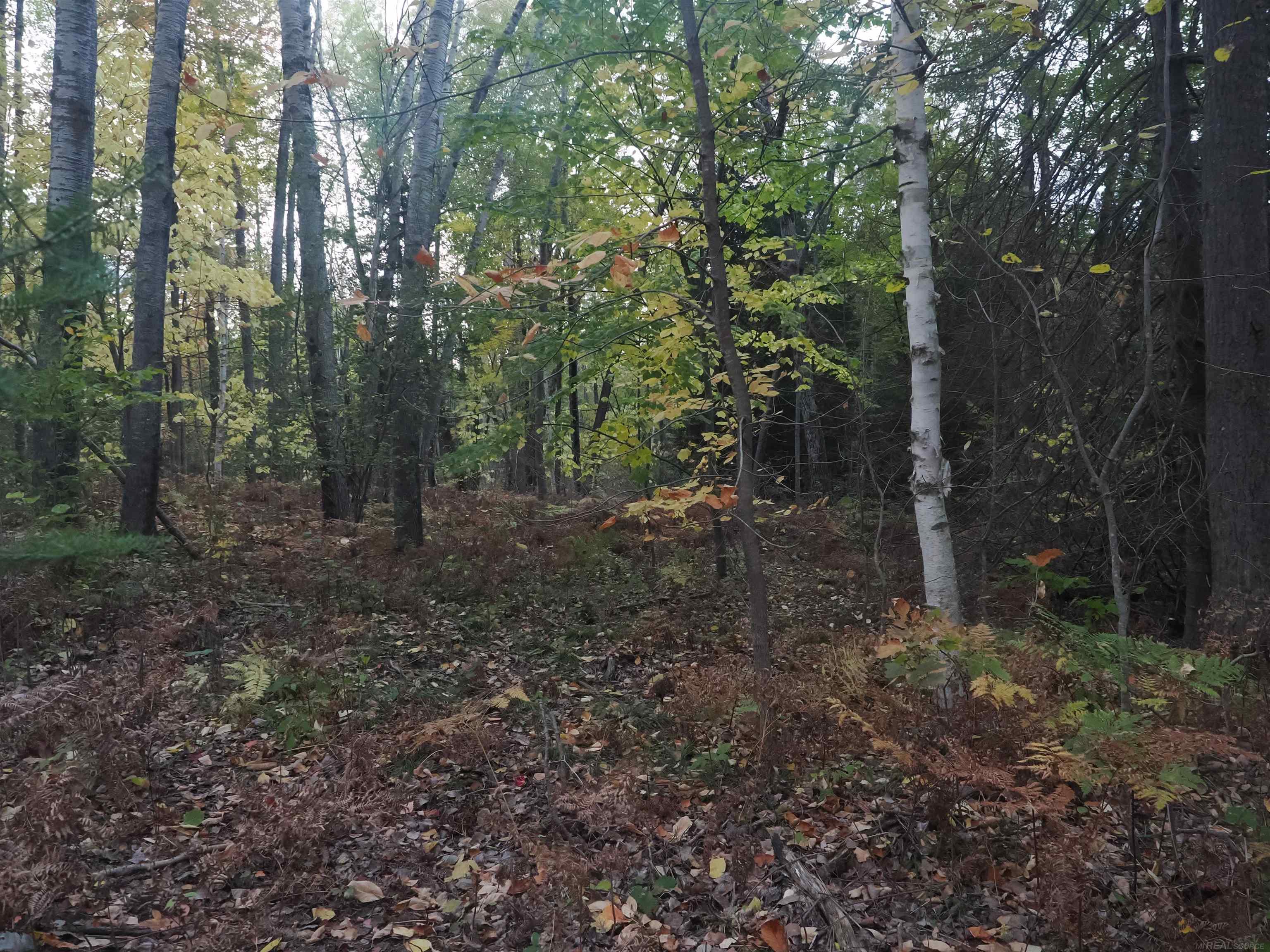 Xxx Tolan Road Spruce, MI 48762 - Photo 74 of 79