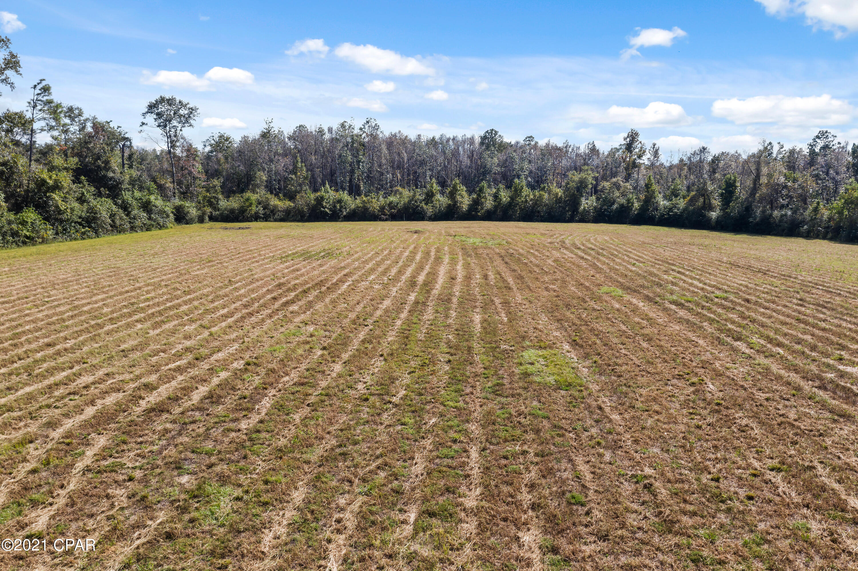 0 Velma Road Cottondale, FL 32431 - Photo 12 of 14