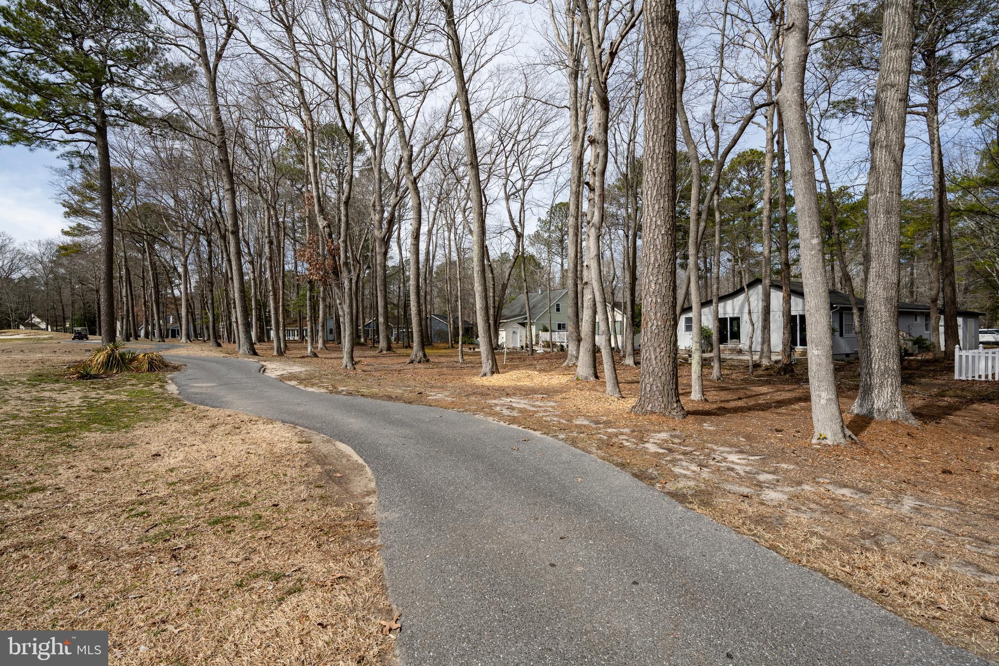 69 Windjammer Road Ocean Pines, MD 21811 - Photo 23 of 53 a view of road with trees