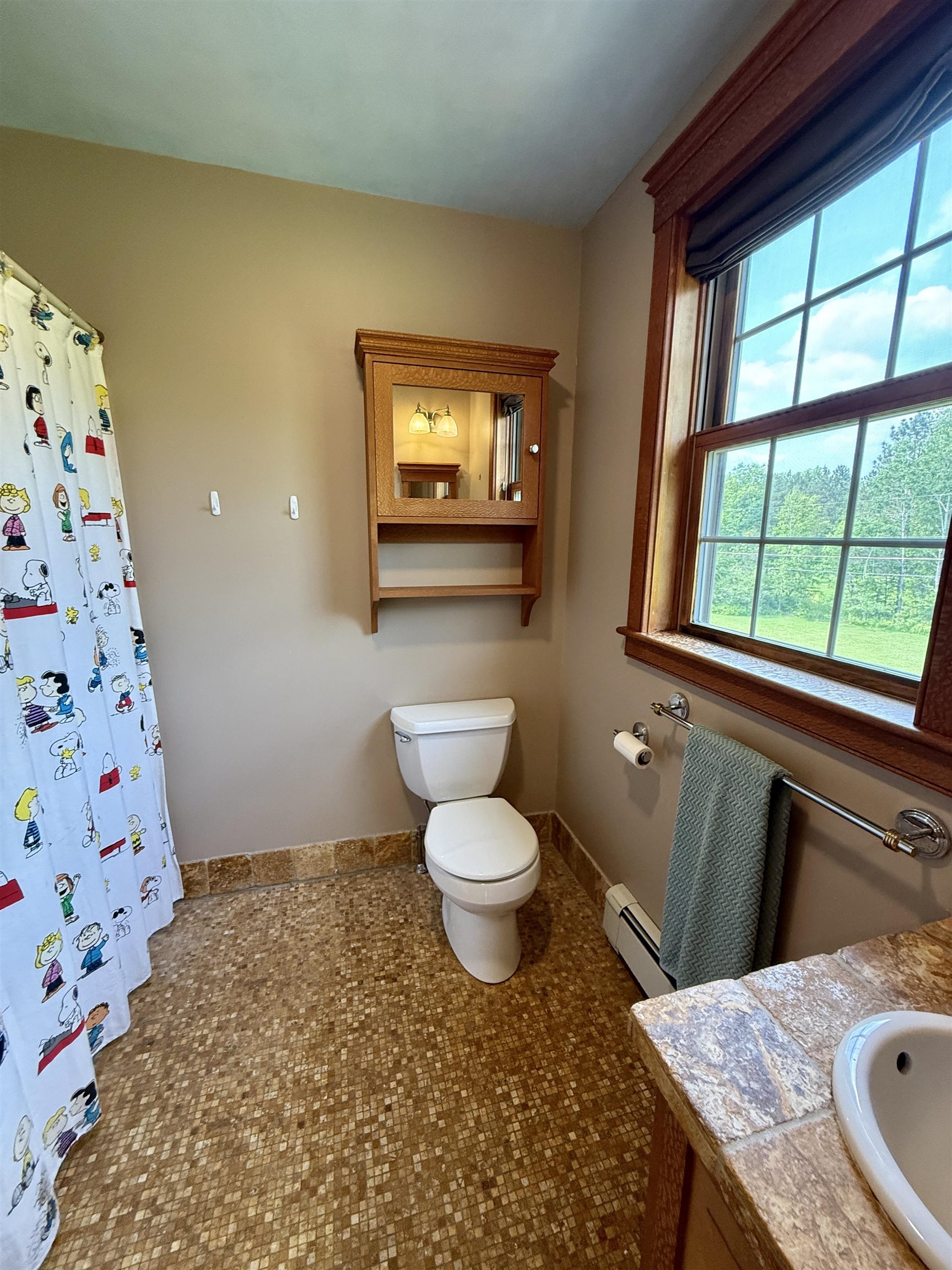 29 Stevensville Road Underhill, VT 05489 - Photo 36 of 60