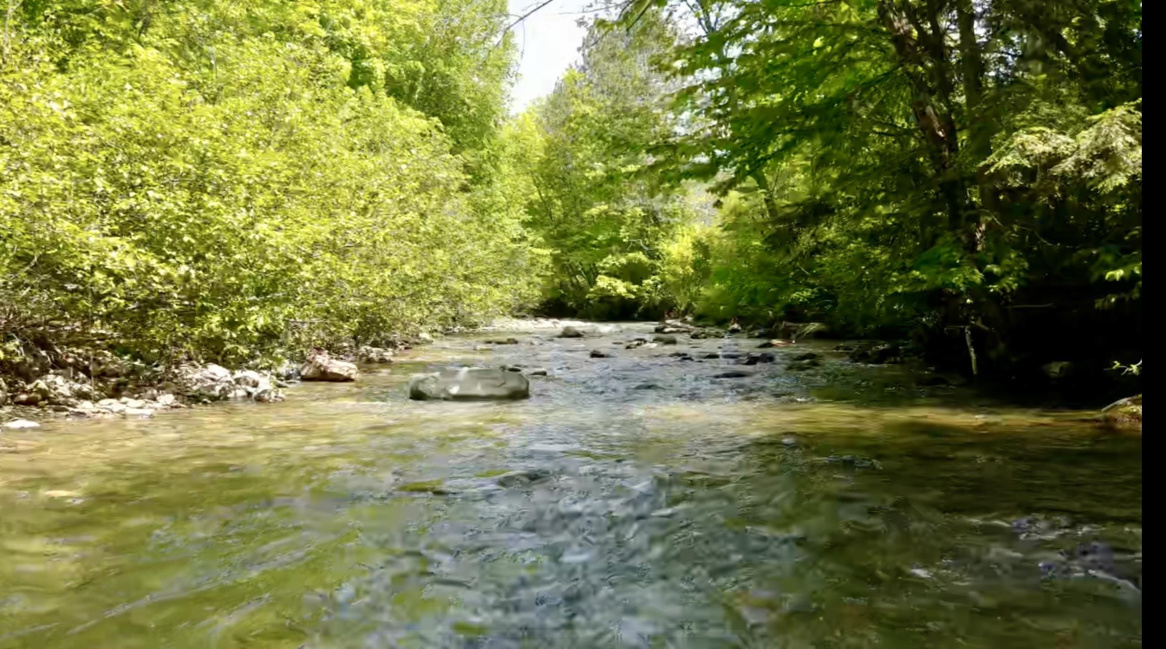 29 Stevensville Road Underhill, VT 05489 - Photo 53 of 60