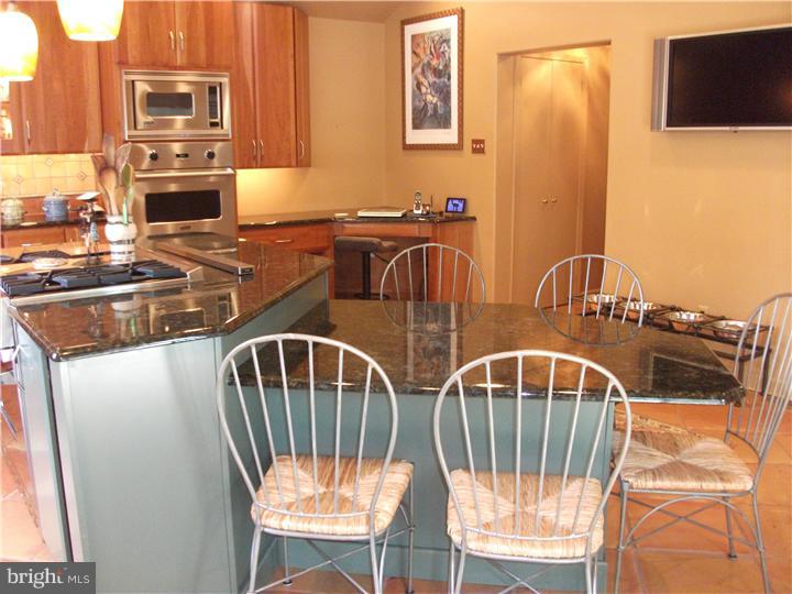 4 Snowden Road Bala Cynwyd, PA 19004 - Photo 4 of 20 Kitchen
