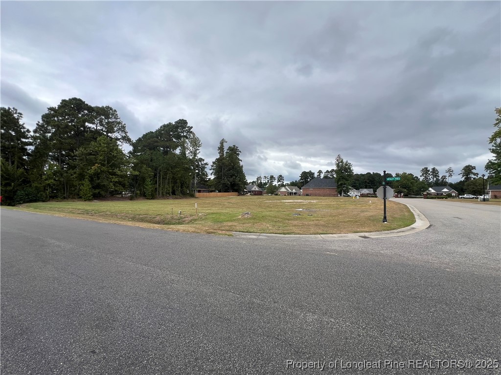 Wesley Pines Road Lumberton, NC 28358 - Photo 2 of 7