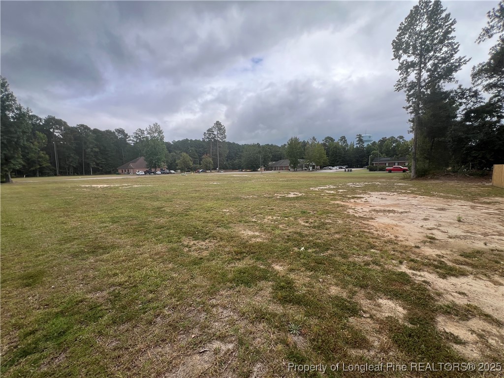 Wesley Pines Road Lumberton, NC 28358 - Photo 3 of 7