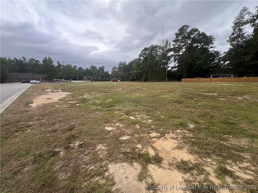 Wesley Pines Road Lumberton, NC 28358 - Photo 4 of 7