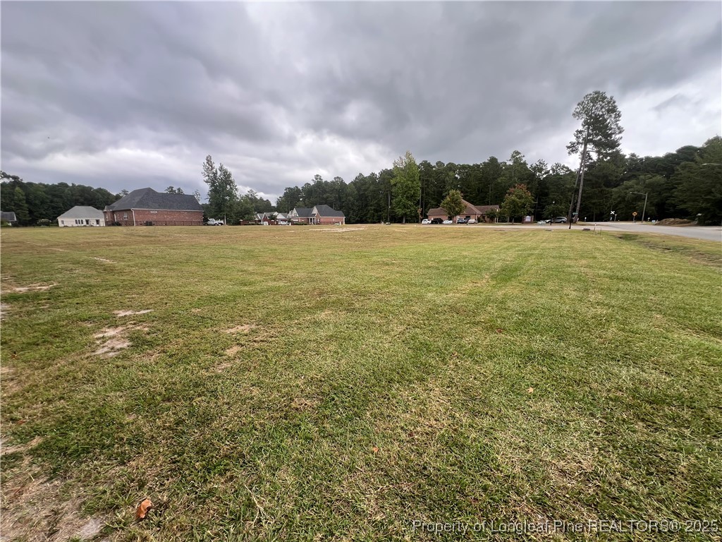 Wesley Pines Road Lumberton, NC 28358 - Photo 5 of 7