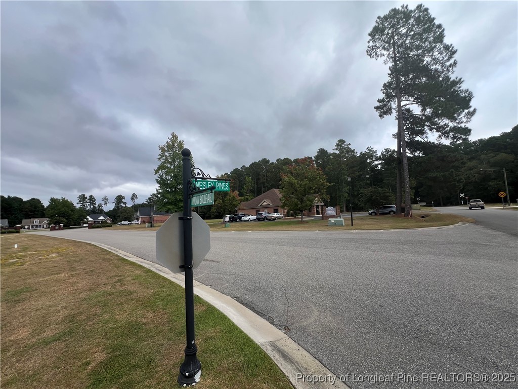 Wesley Pines Road Lumberton, NC 28358 - Photo 6 of 7