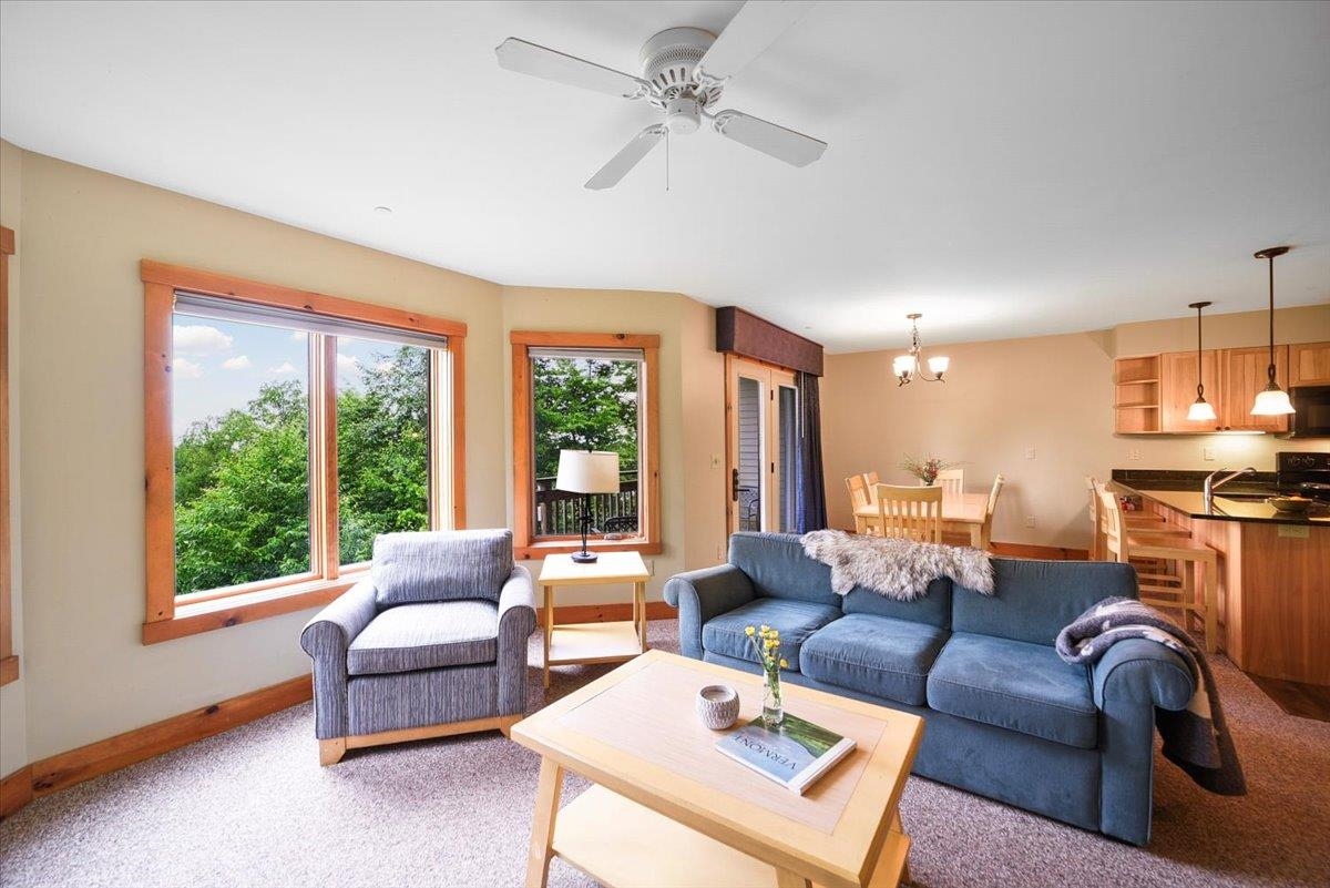 296 Bridge Road, Unit 4767 Jay, VT 05859 - Photo 3 of 20