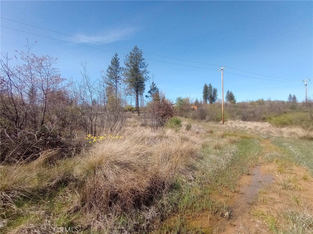 3515 Hoffman Road Oroville, CA 95965 - Photo 12 of 30