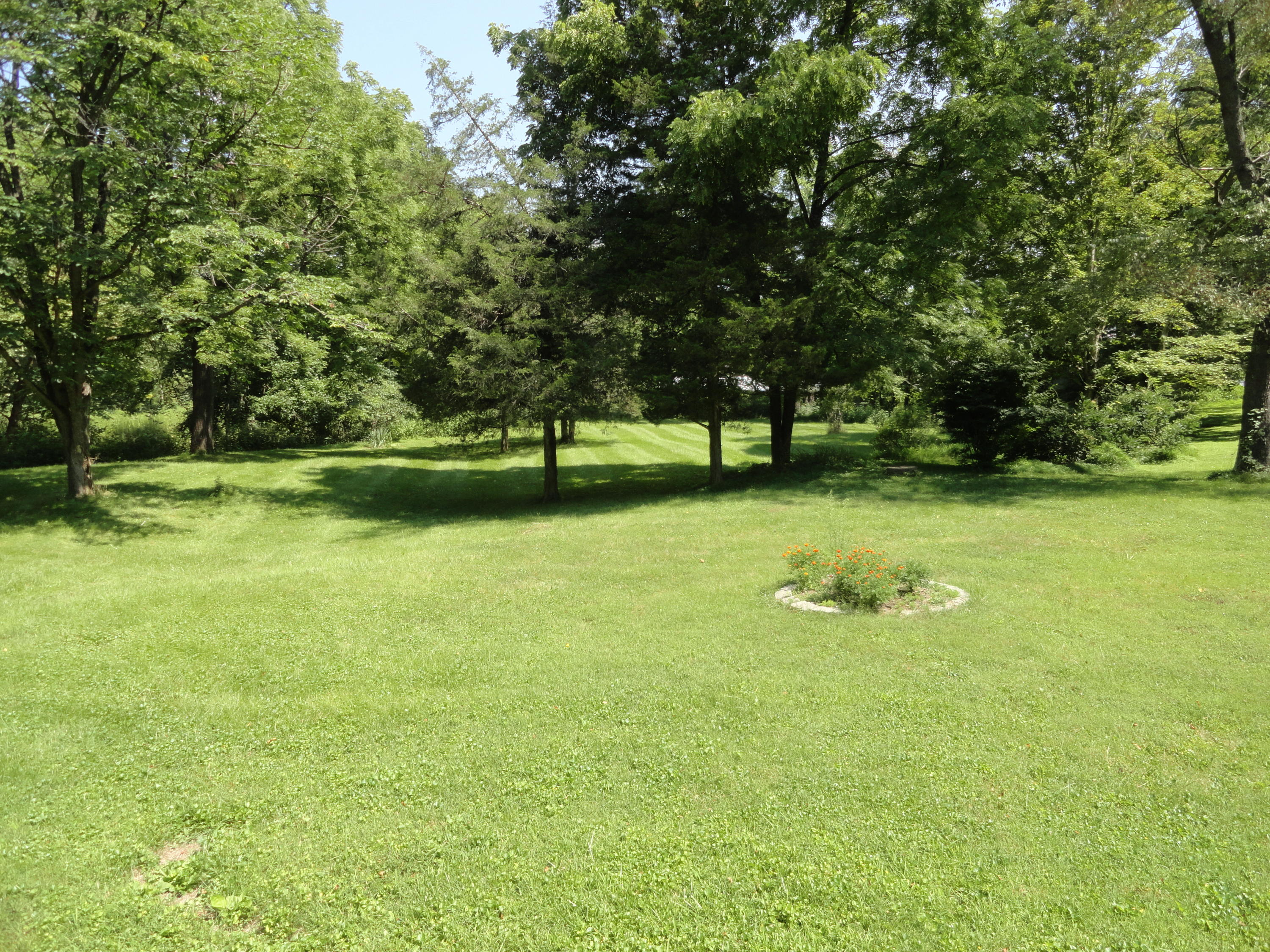 4714 Dunlap Creek Road Covington, VA 24426 - Photo 13 of 18 Yard