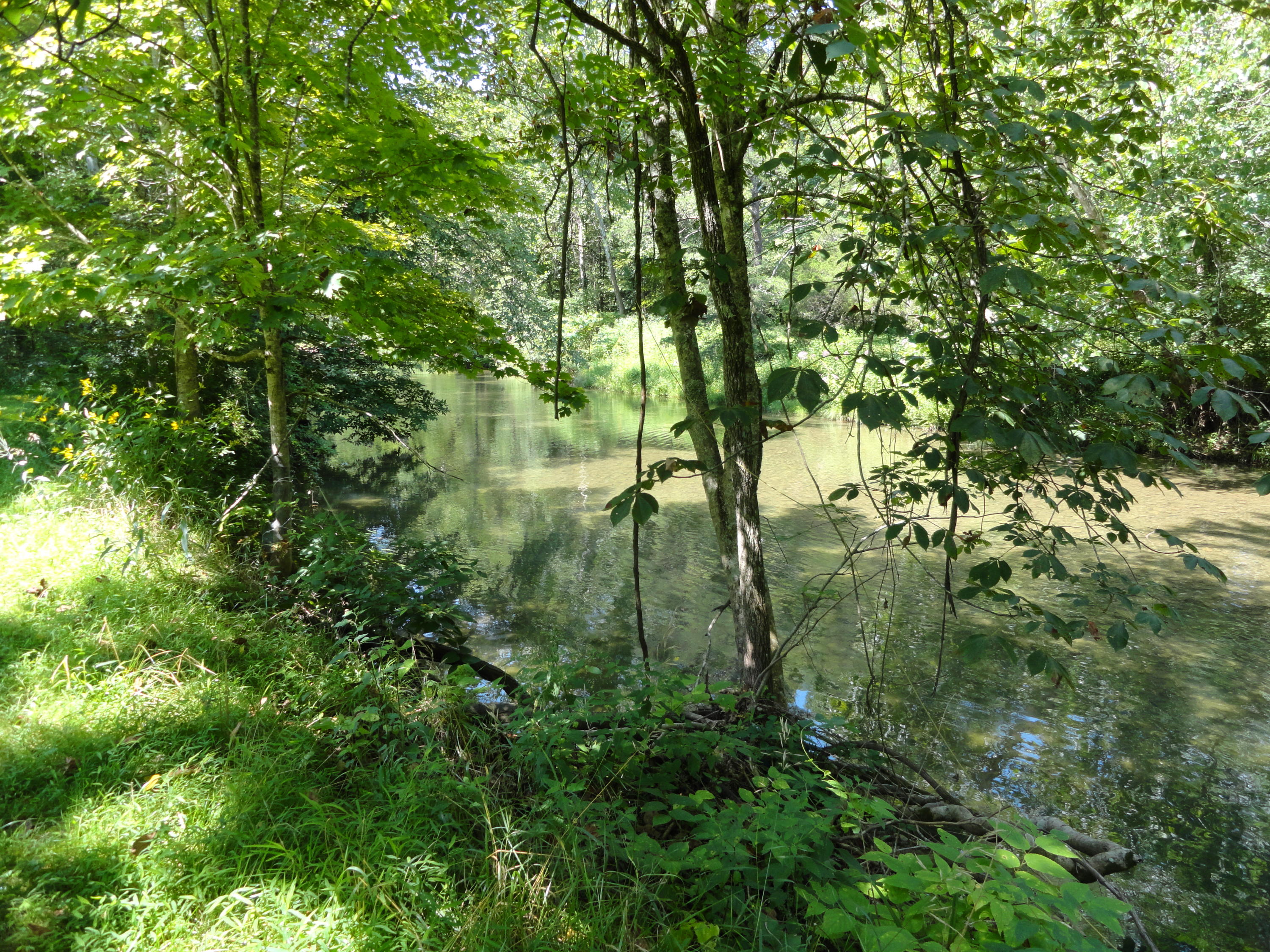 4714 Dunlap Creek Road Covington, VA 24426 - Photo 14 of 18 Creek view upstream