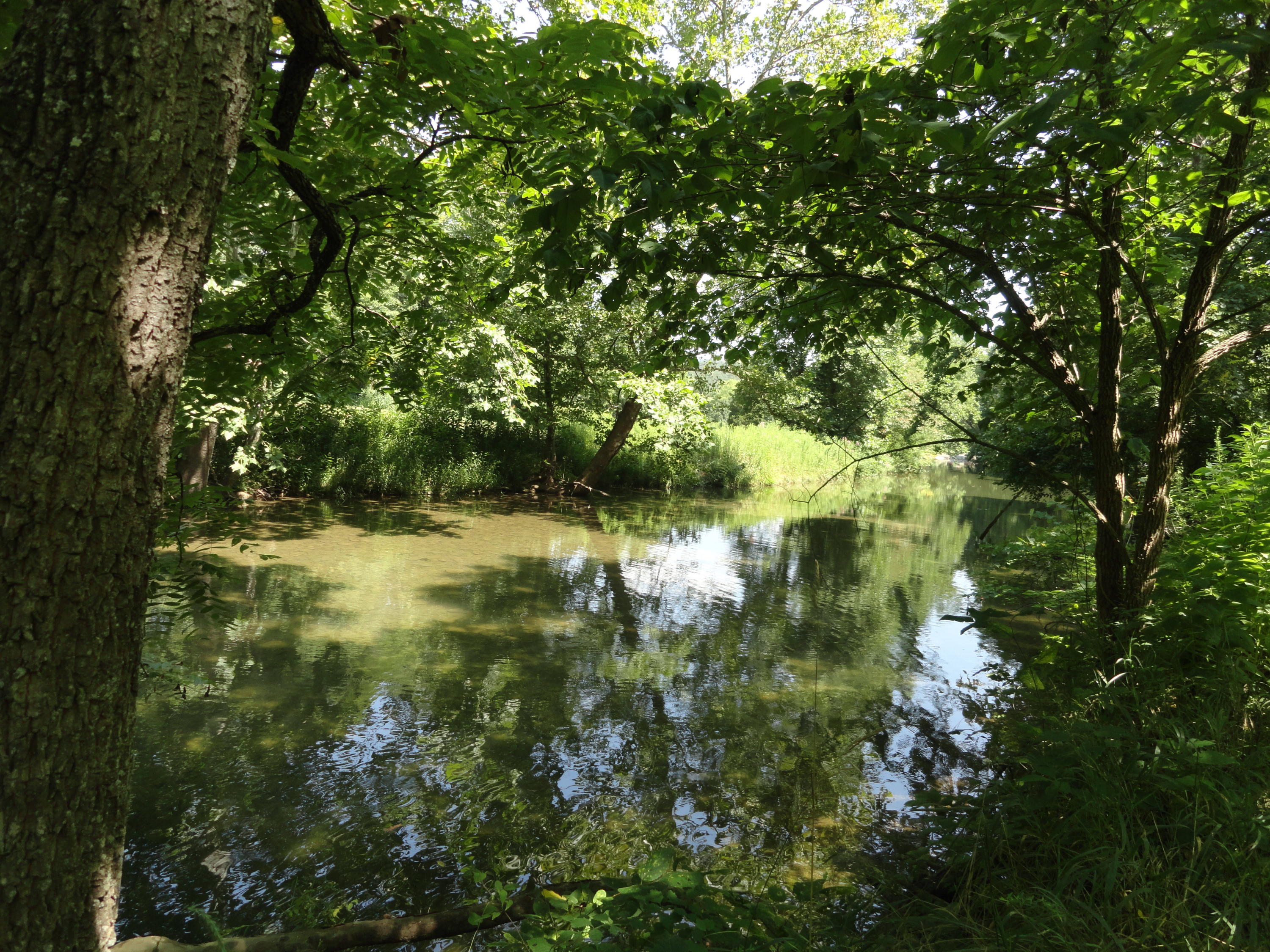 4714 Dunlap Creek Road Covington, VA 24426 - Photo 15 of 18 Creek downstream