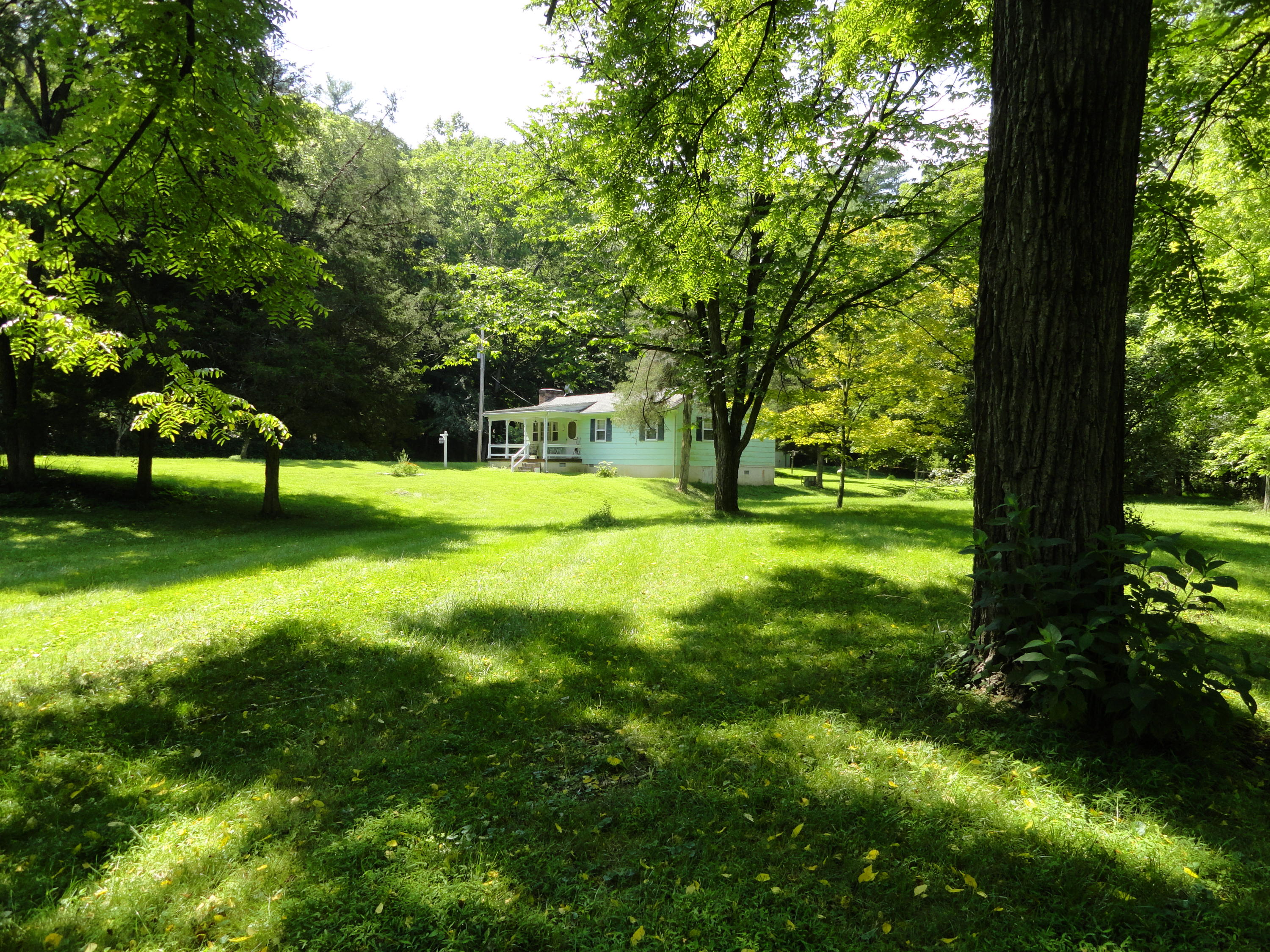 4714 Dunlap Creek Road Covington, VA 24426 - Photo 16 of 18 view from yard